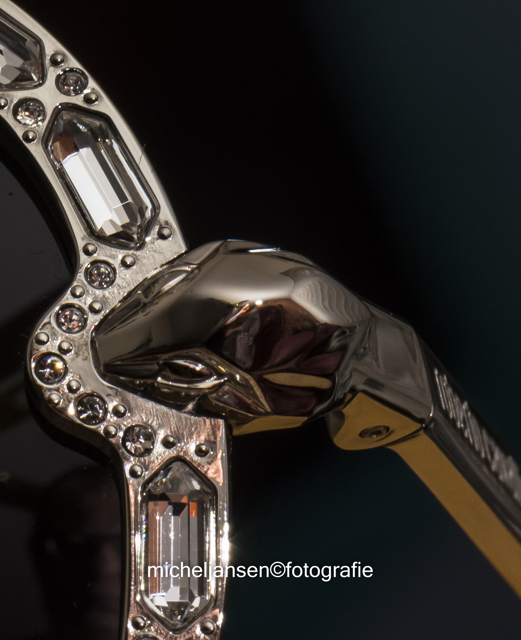 Nikon AF-S DX Micro-Nikkor 85mm F3.5G ED VR sample photo. Roberto cavalli photography