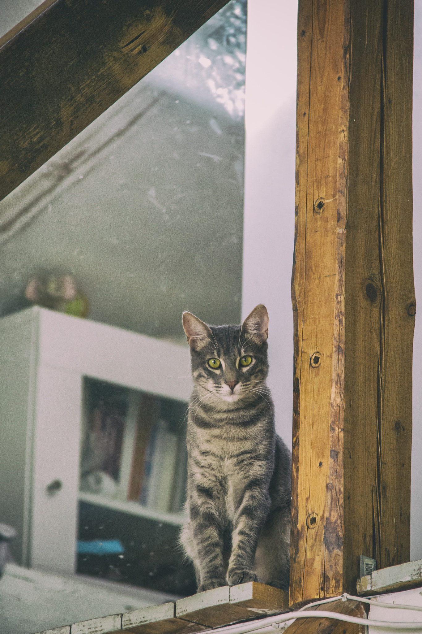 Canon EOS 100D (EOS Rebel SL1 / EOS Kiss X7) sample photo. Edit photography