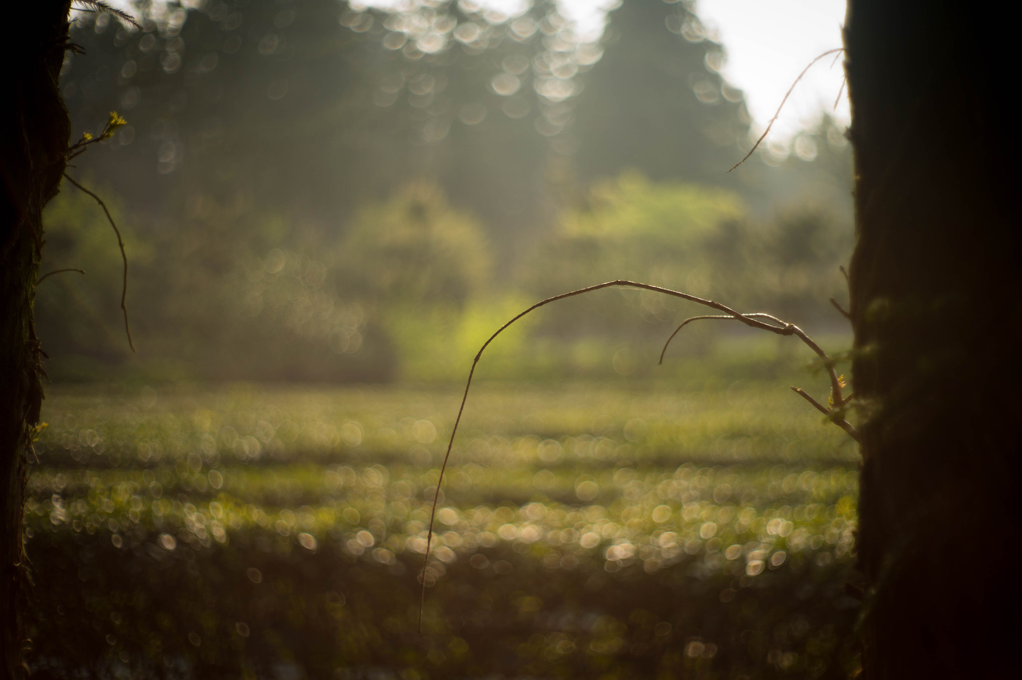 Leica M9 + Noctilux-M 50mm f/1 sample photo. Moment photography