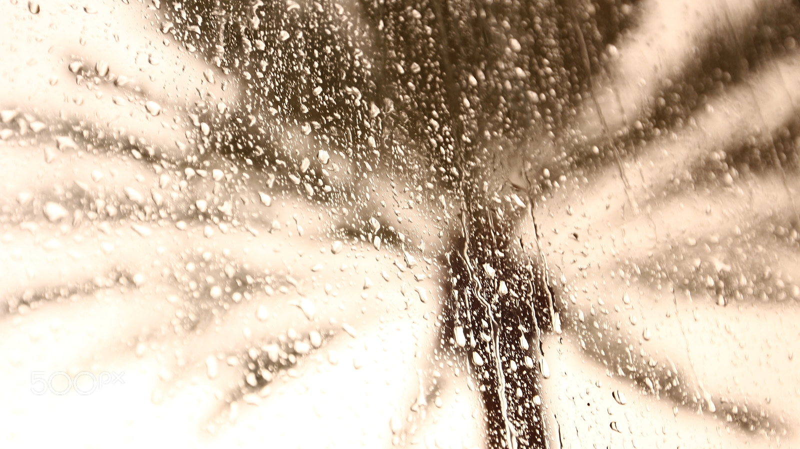 Canon EF 16-35mm F2.8L II USM sample photo. Rain rain photography