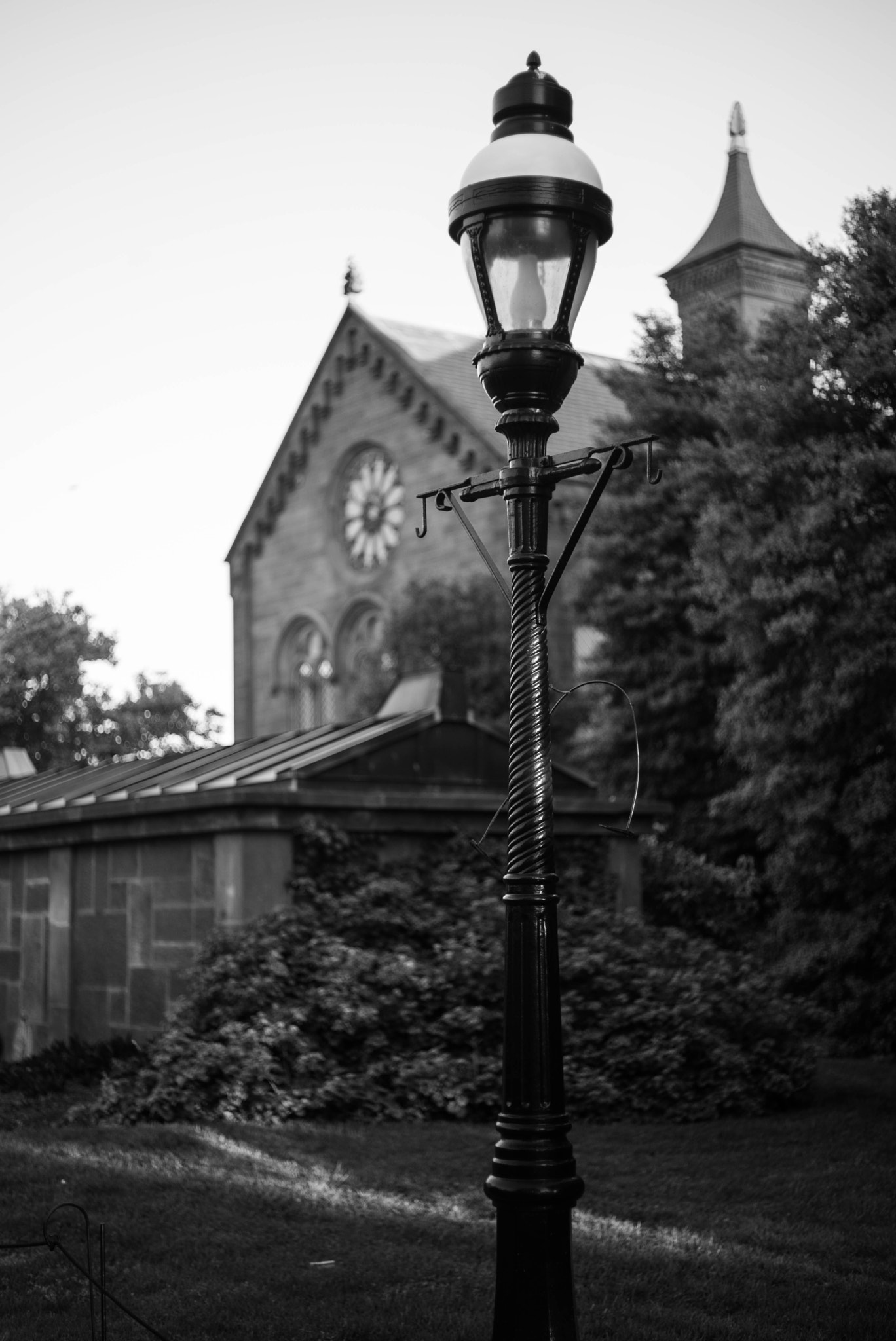 Summicron 1:2/50 Leitz sample photo. L1000483.jpg photography