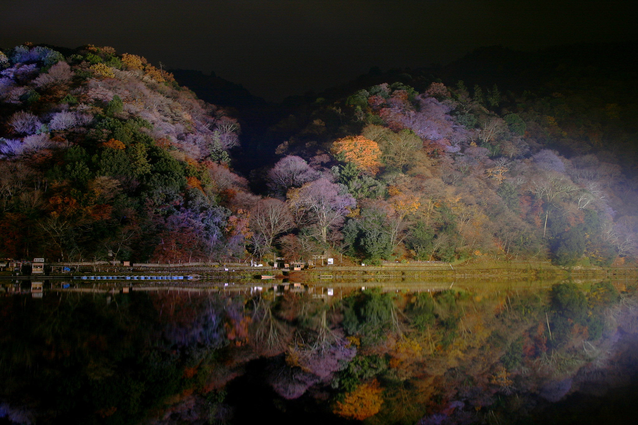 Canon EOS 400D (EOS Digital Rebel XTi / EOS Kiss Digital X) + Tamron SP AF 17-50mm F2.8 XR Di II LD Aspherical (IF) sample photo. Arashiyama illumination photography