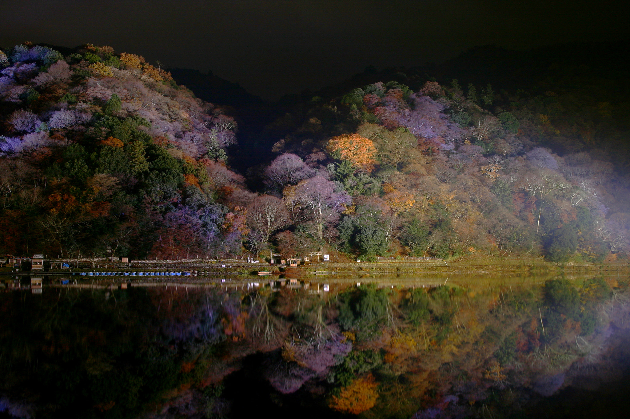 Canon EOS 400D (EOS Digital Rebel XTi / EOS Kiss Digital X) sample photo. Arashiyama illumination photography