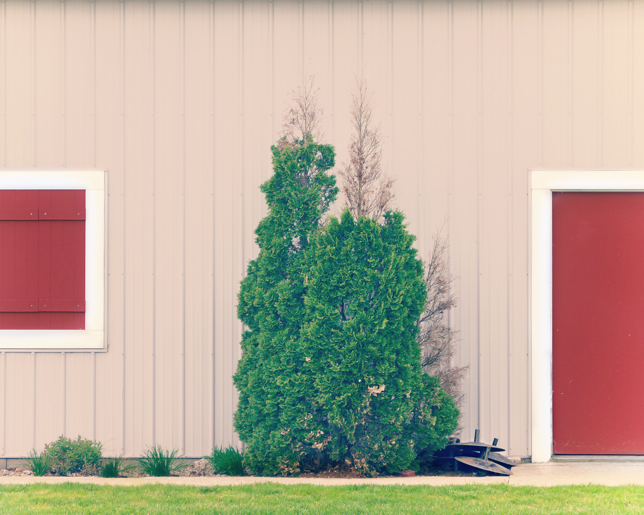 Panasonic Lumix G Vario 45-200mm F4-5.6 OIS sample photo. Explorethedoor photography