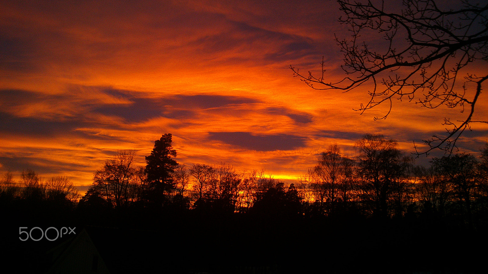 Sony Ericsson Xperia P sample photo. Sunset :d photography