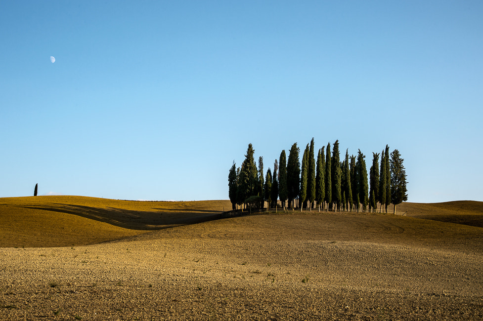 Nikon D4S + Sigma 24-105mm F4 DG OS HSM Art sample photo. Single or multiple photography