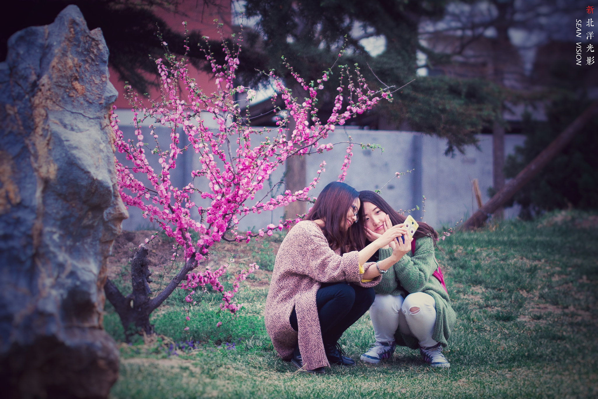 Nikon D800E sample photo. 天津大学 海棠节 photography