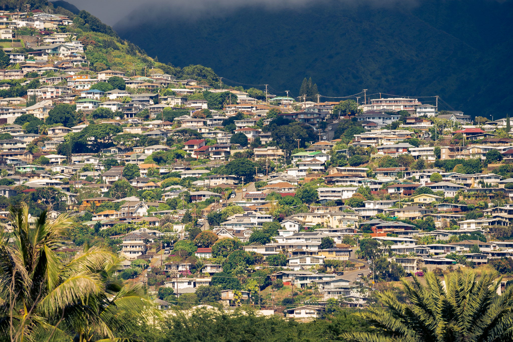 Sony a7R + Sony 70-400mm F4-5.6 G SSM sample photo. Hawai'ian village photography