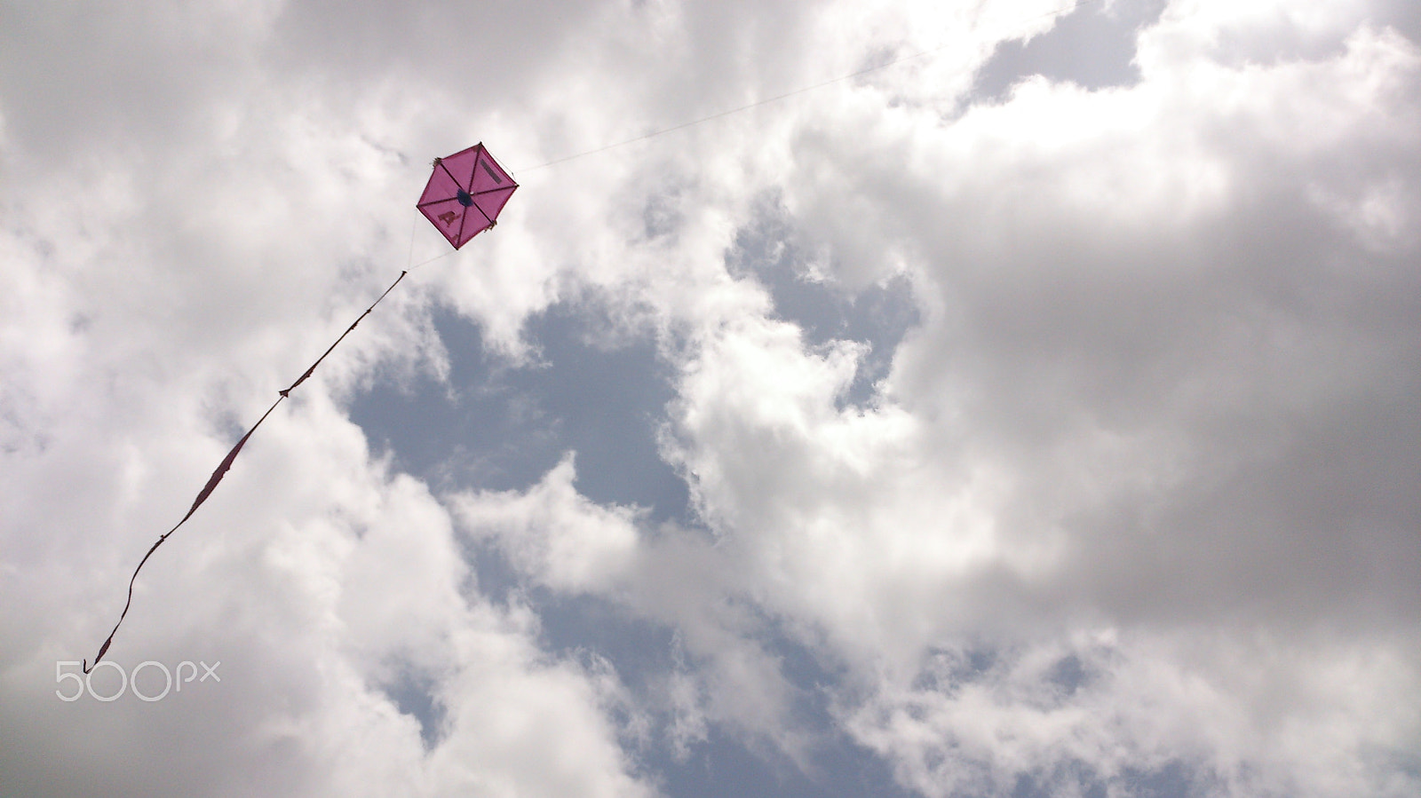 Sony Xperia V sample photo. Papagallo photography