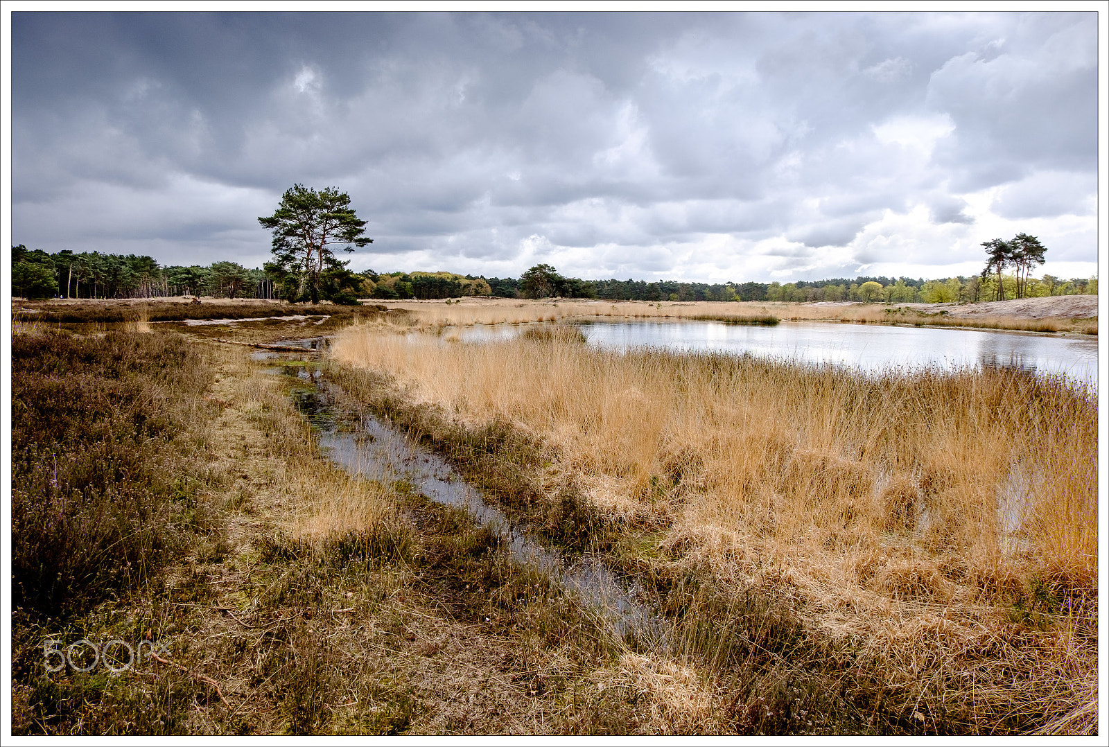Fujifilm XC 16-50mm F3.5-5.6 OIS sample photo. Dreigende lucht boven de sonse heide photography