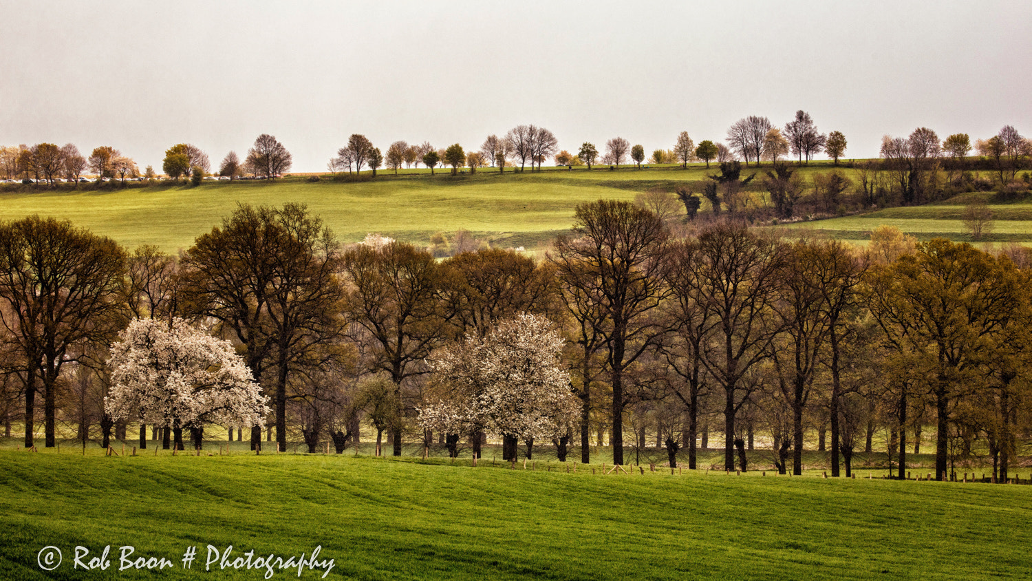 Canon EF 100-400mm F4.5-5.6L IS II USM sample photo. Springtime @ gulpen photography