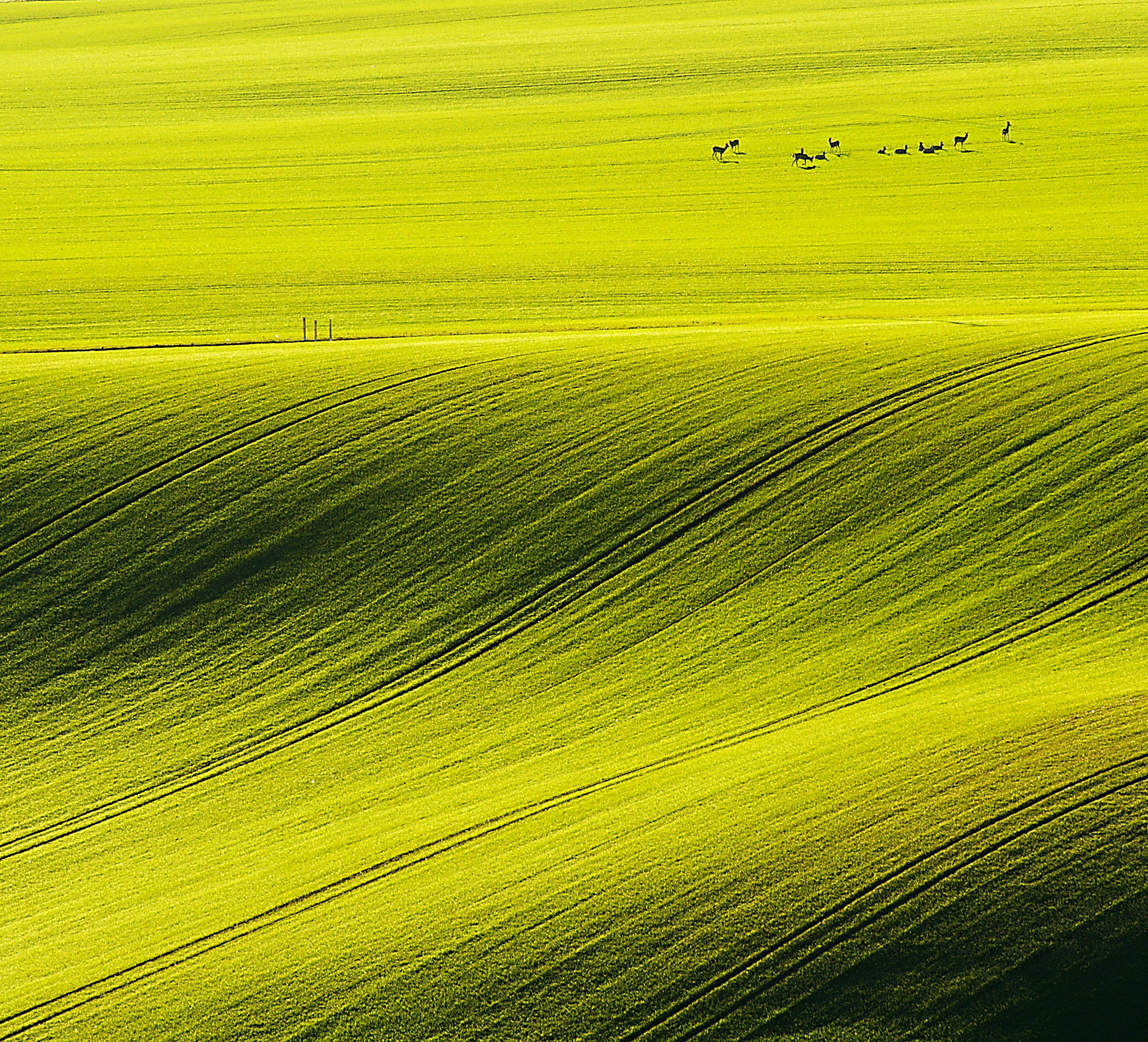 70.00 - 300.00 mm f/4.5 - 5.6 sample photo. Green waves photography