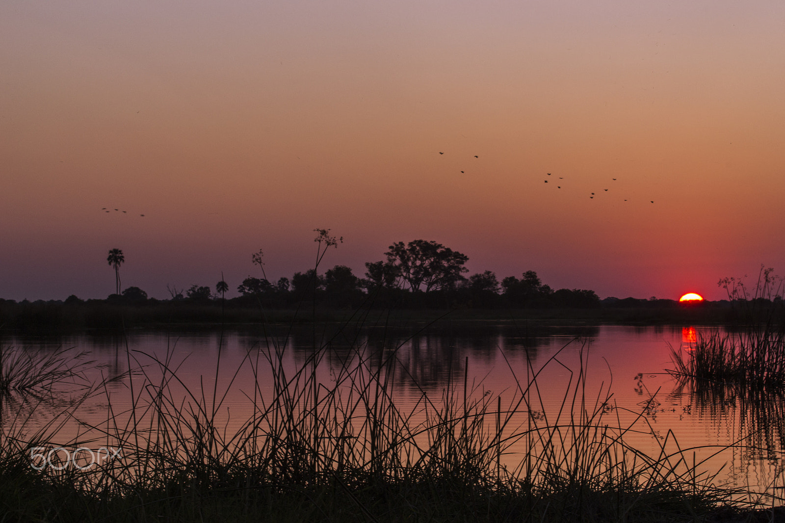 Nikon AF-S Nikkor 70-200mm F4G ED VR sample photo. Safari sunset photography