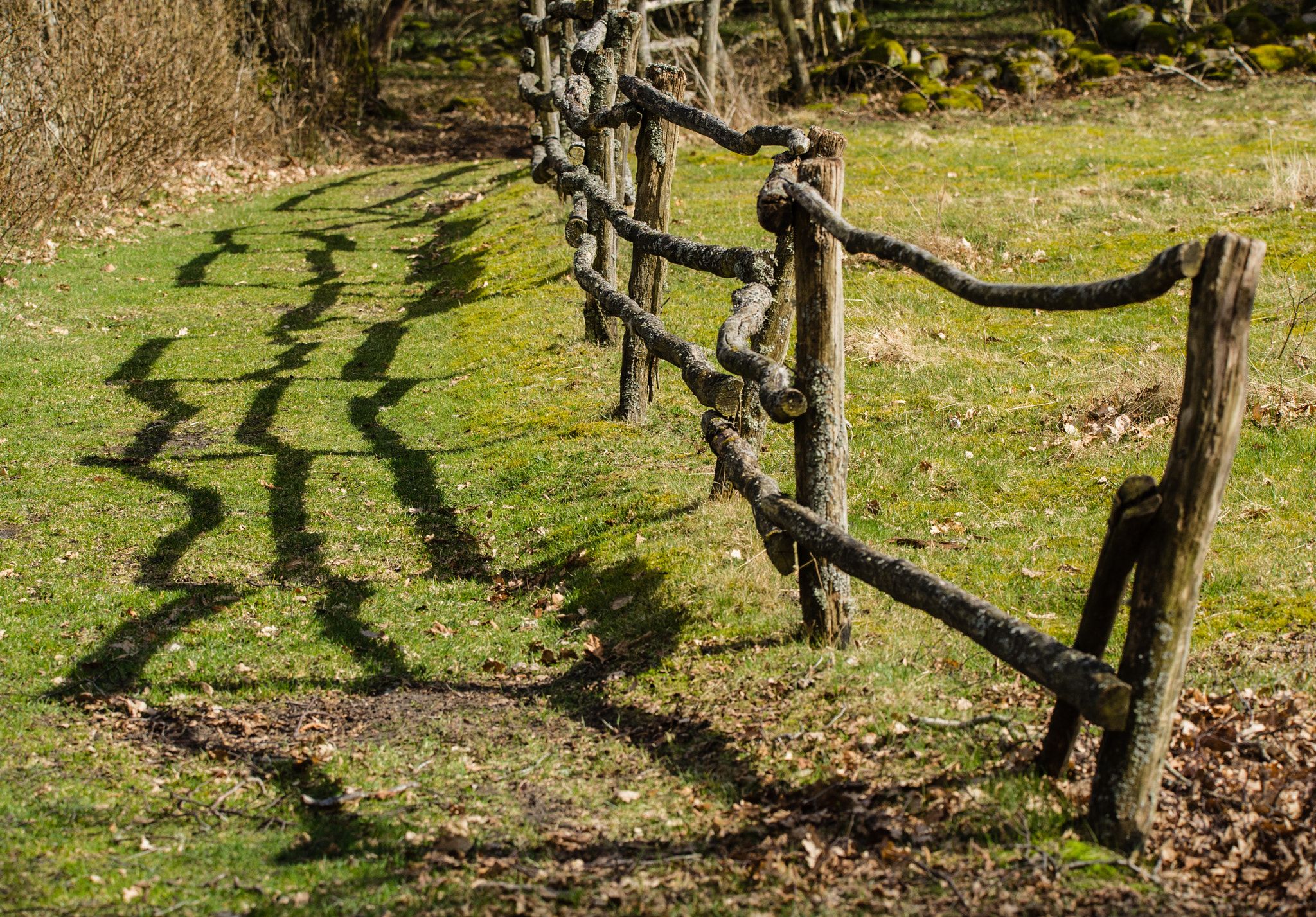 Sigma 150-600mm F5-6.3 DG OS HSM | C sample photo. Fence and shadow photography