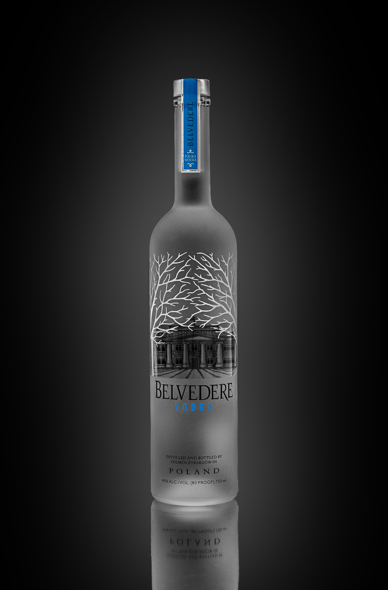 Canon EOS 5DS + Canon EF 50mm F1.4 USM sample photo. Belvedere - vodka photography