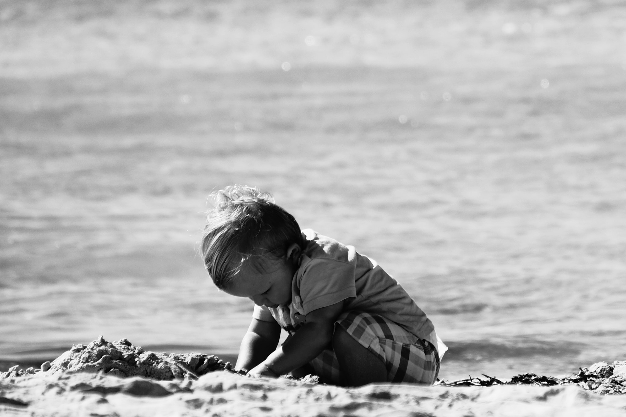 Sony Alpha NEX-5R sample photo. Sandcastle photography