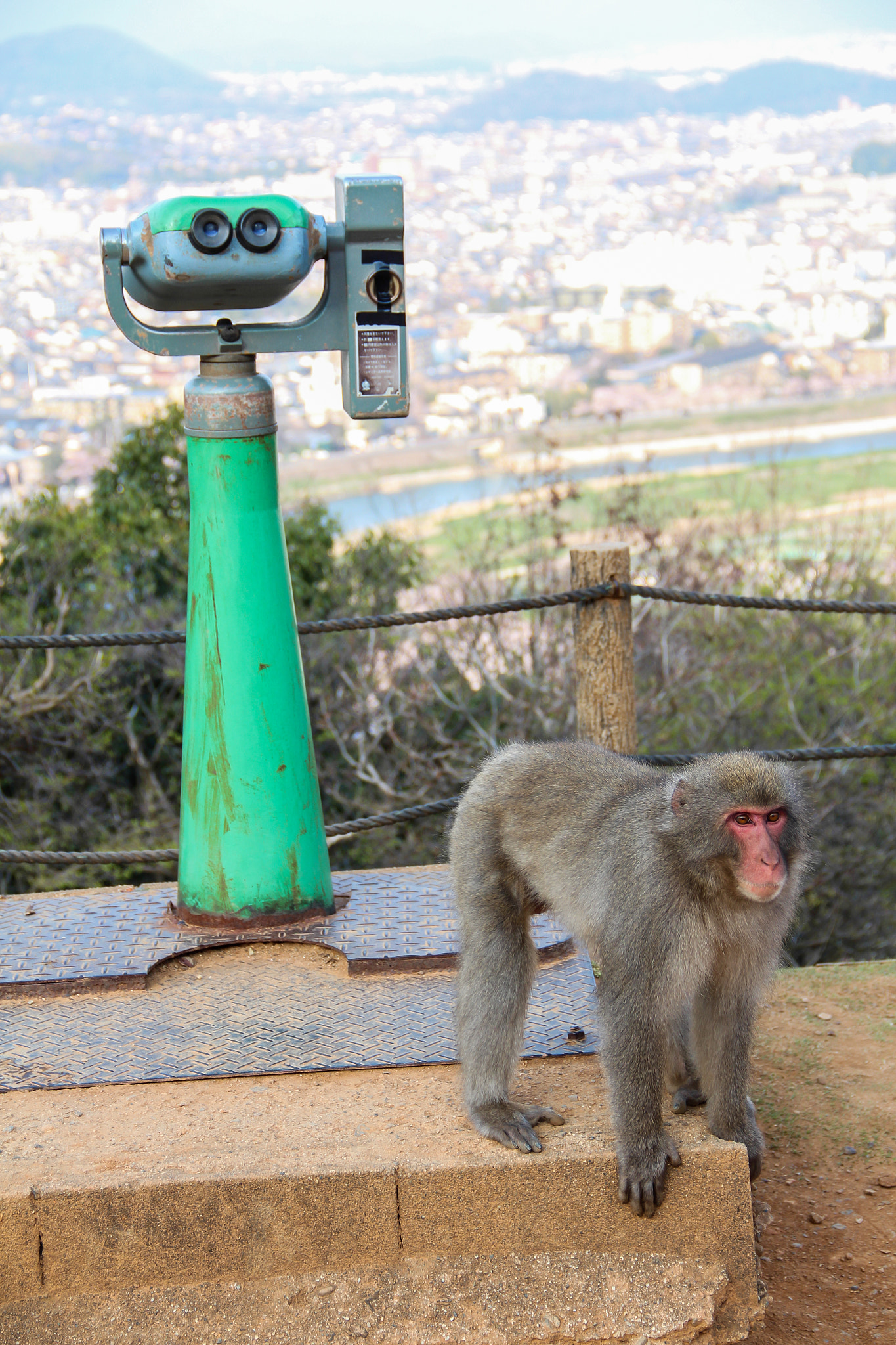 Canon EOS 650D (EOS Rebel T4i / EOS Kiss X6i) sample photo. Tourist photography