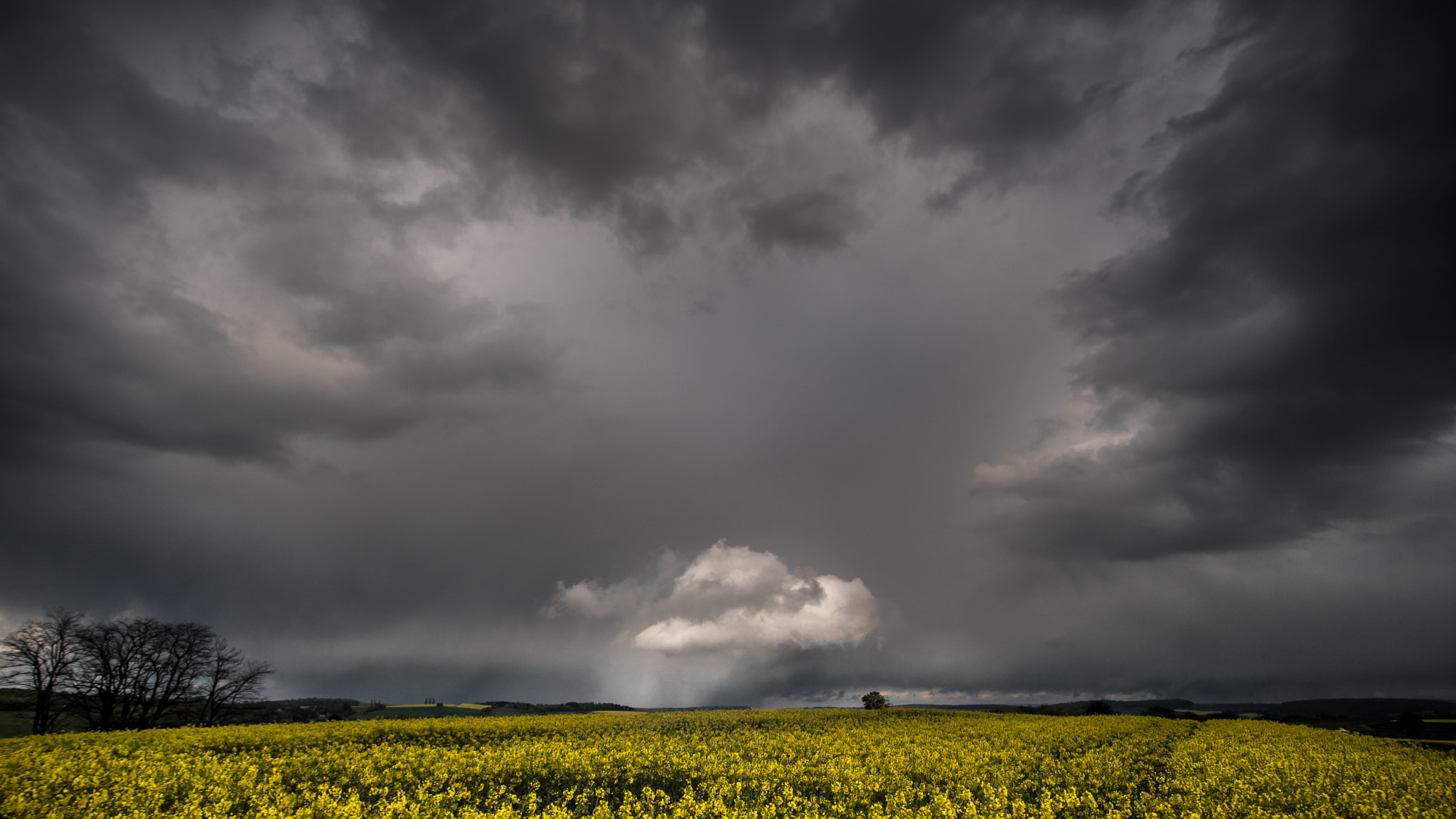 Nikon D750 + Sigma 18-35mm F3.5-4.5 Aspherical sample photo. Yellow photography