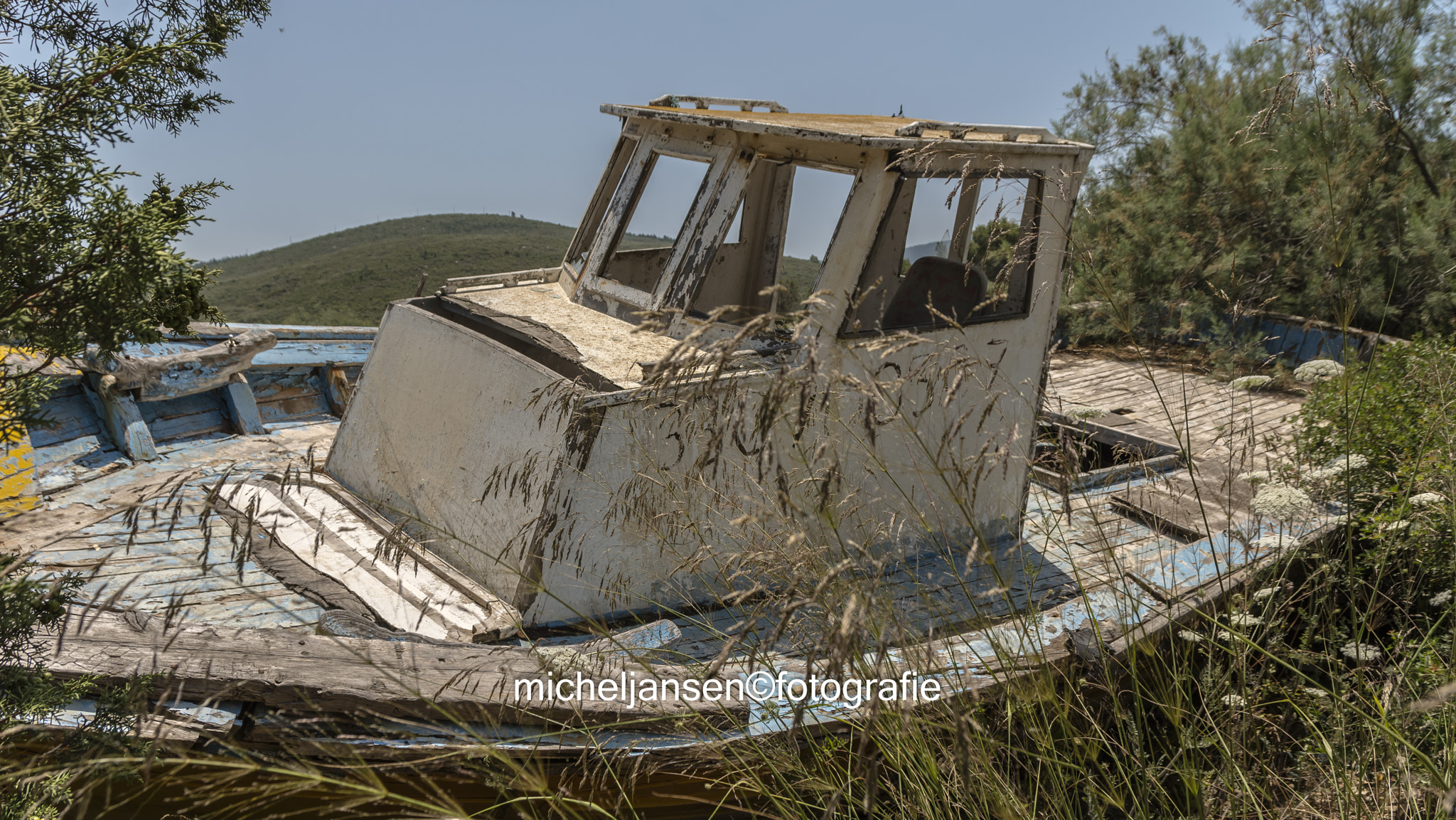 Nikon D5200 + Sigma 17-70mm F2.8-4 DC Macro OS HSM | C sample photo. Wood rot photography