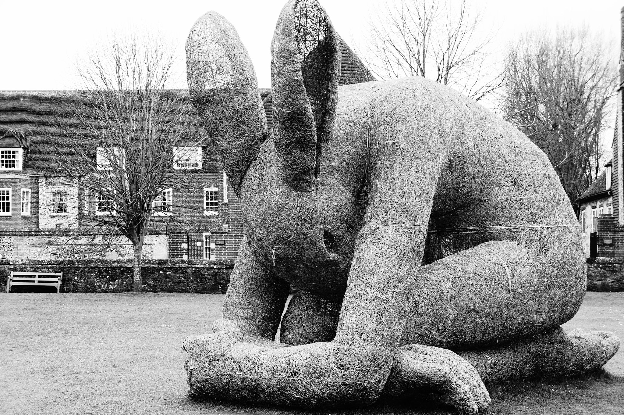 Sony E 18-55mm F3.5-5.6 OSS sample photo. Sophie ryder - ladyhare photography