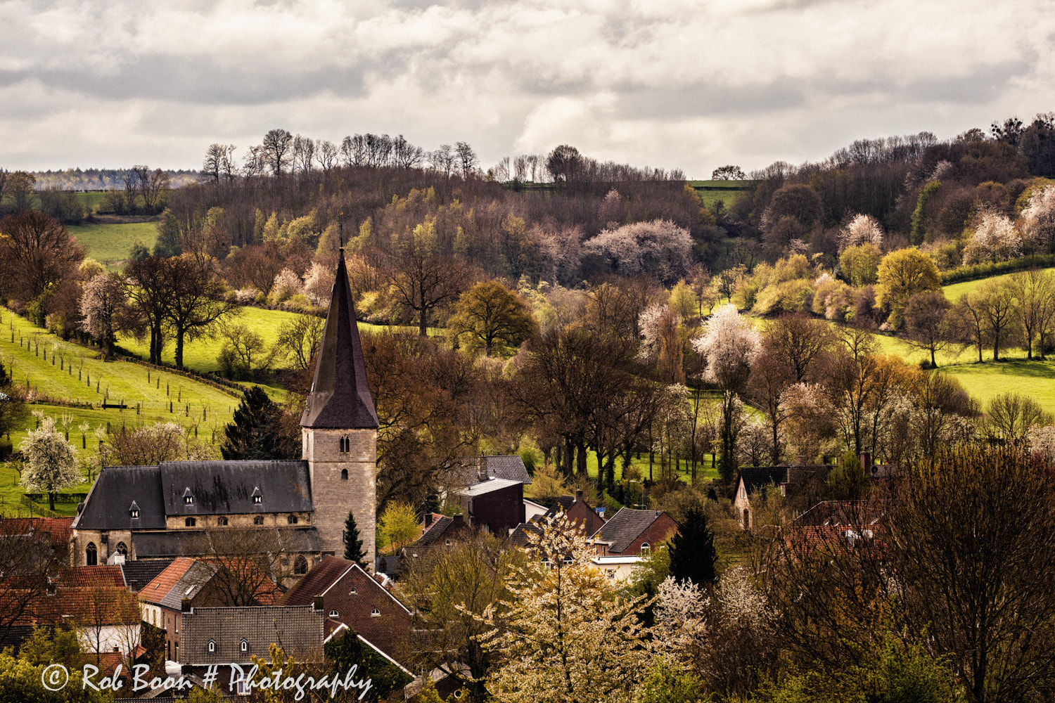 Canon EF 100-400mm F4.5-5.6L IS II USM sample photo. Spring is in the air @ noorbeek photography