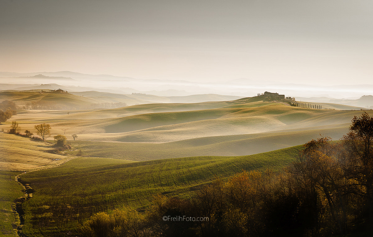 Nikon D3X + Nikon AF-S Nikkor 85mm F1.4G sample photo. Tuscany morning photography