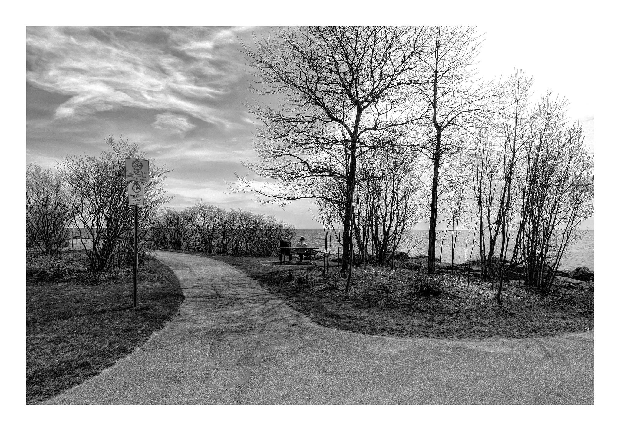 Fujifilm XC 16-50mm F3.5-5.6 OIS sample photo. Jdp photography