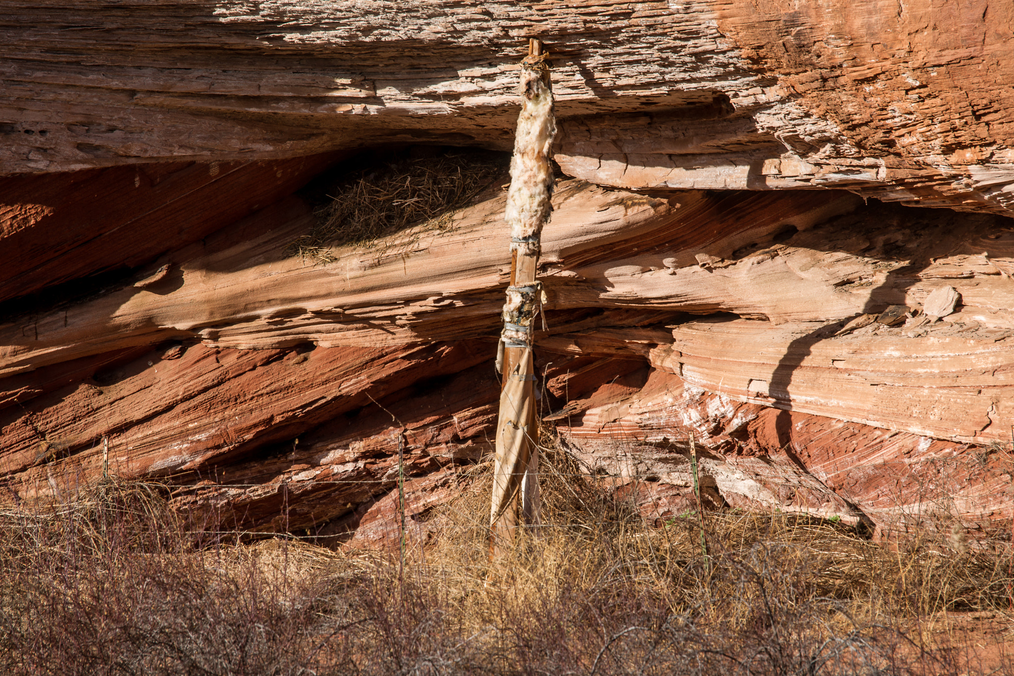 Sony Alpha DSLR-A850 + Sony 70-400mm F4-5.6 G SSM sample photo. Coyote marker photography