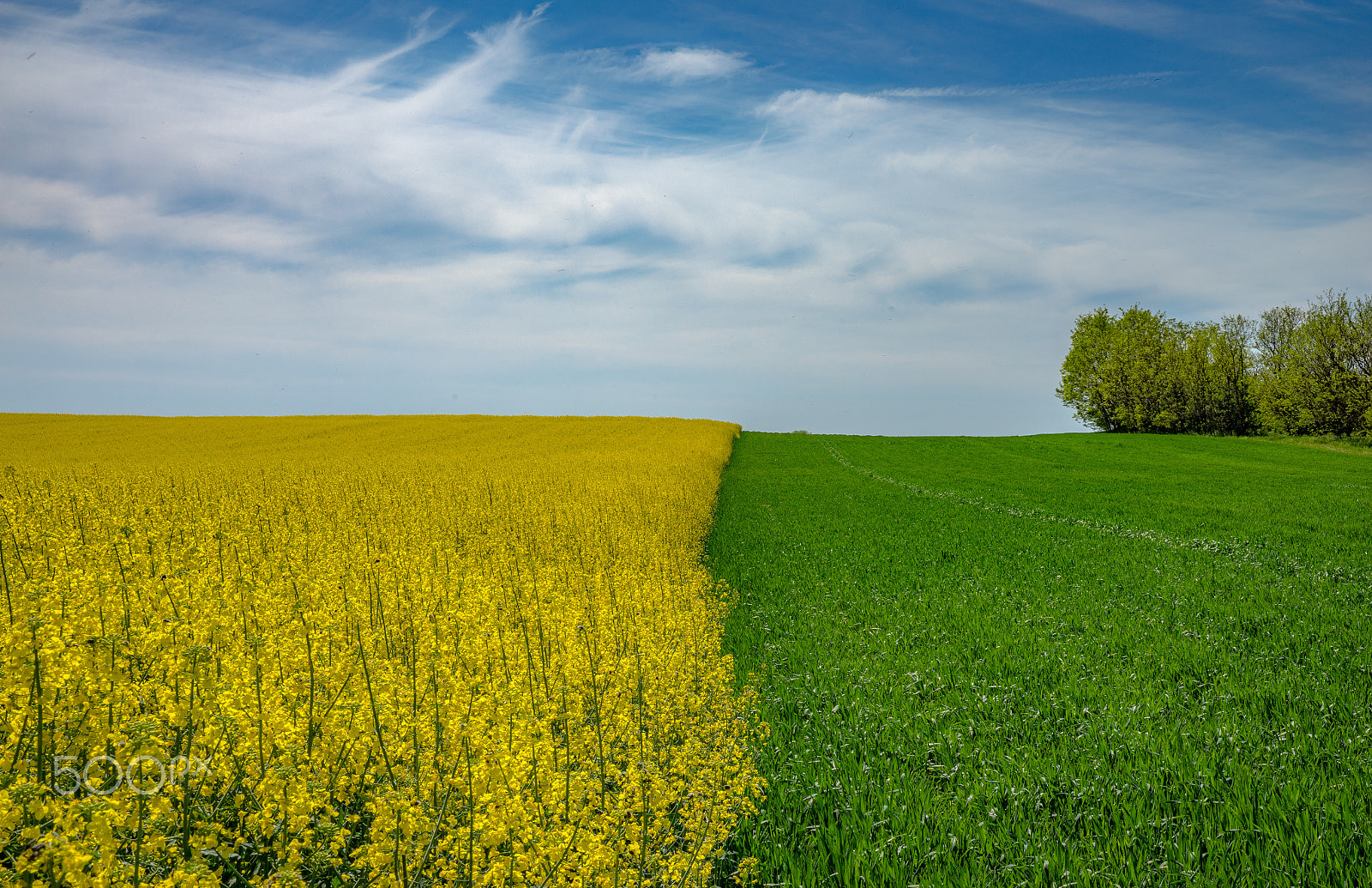 Sony a7R sample photo. The nature photography