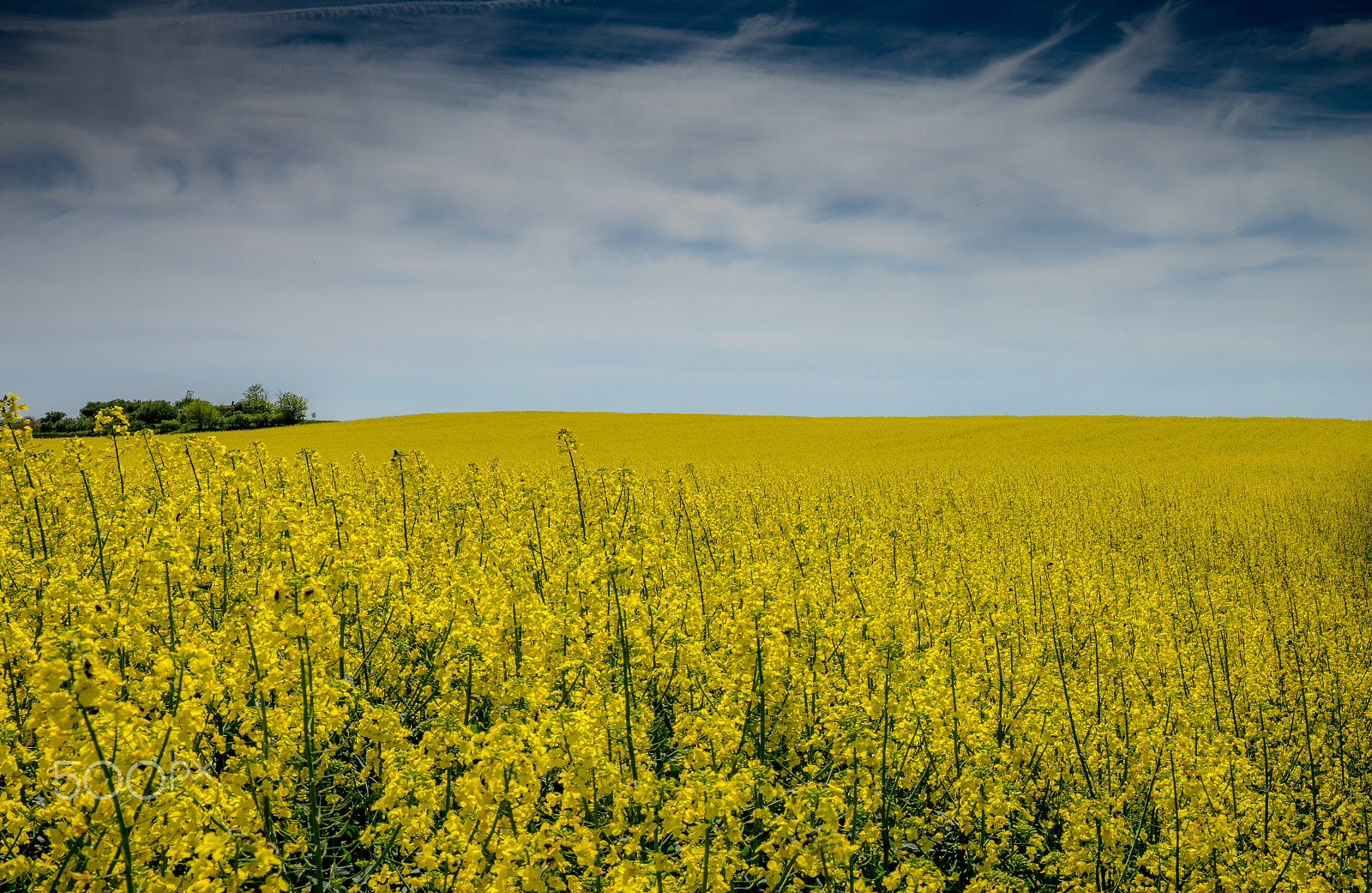Sony a7R sample photo. The nature photography