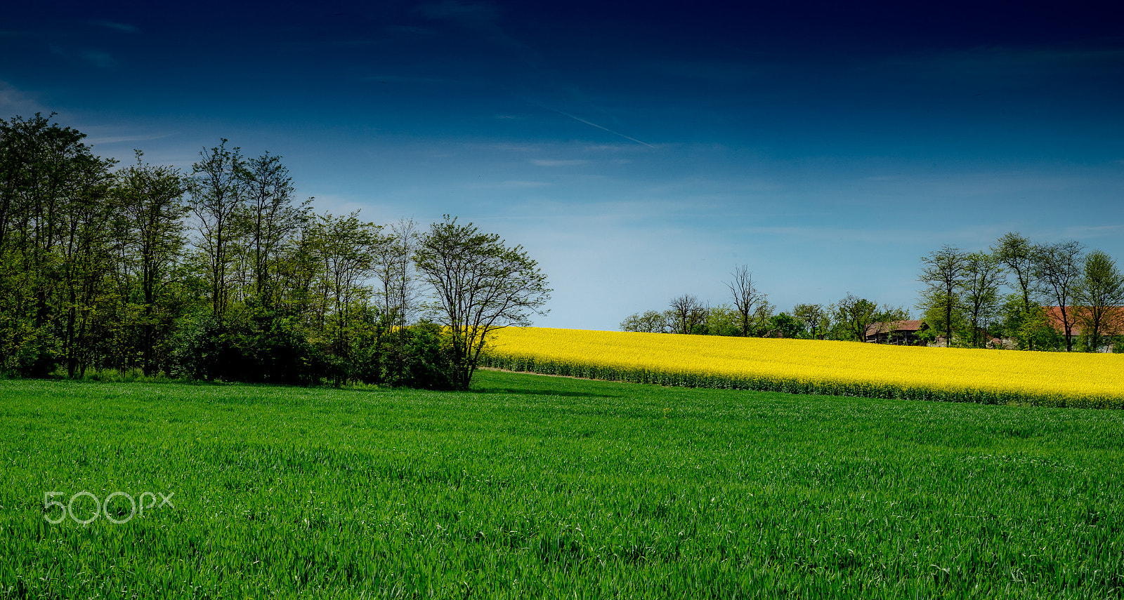 Sony a7R sample photo. The nature photography