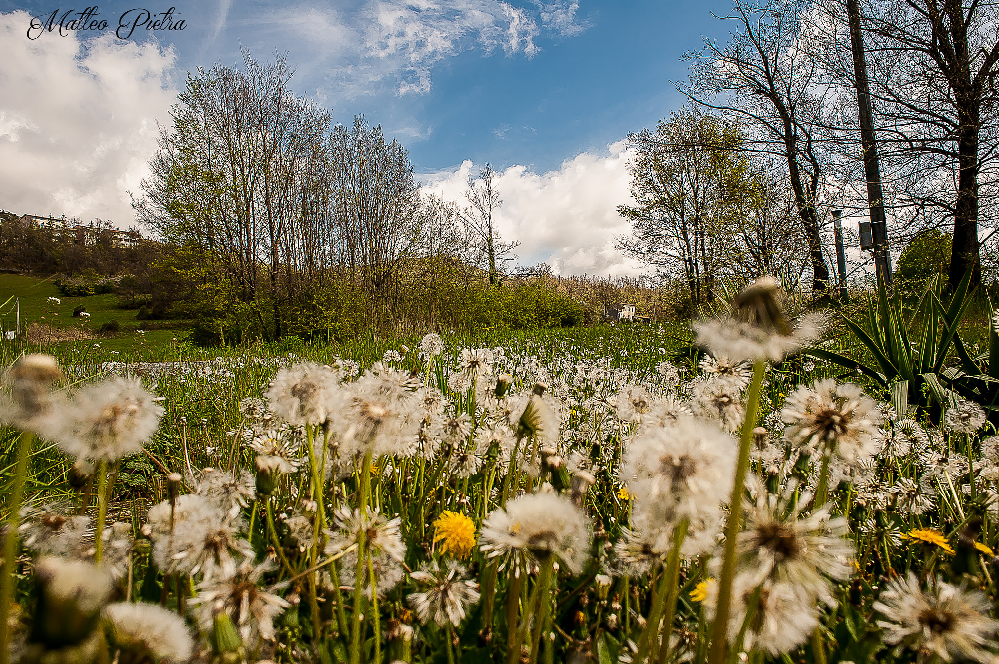 Nikon D700 + AF Nikkor 24mm f/2.8 sample photo. Blowing the cares away... photography