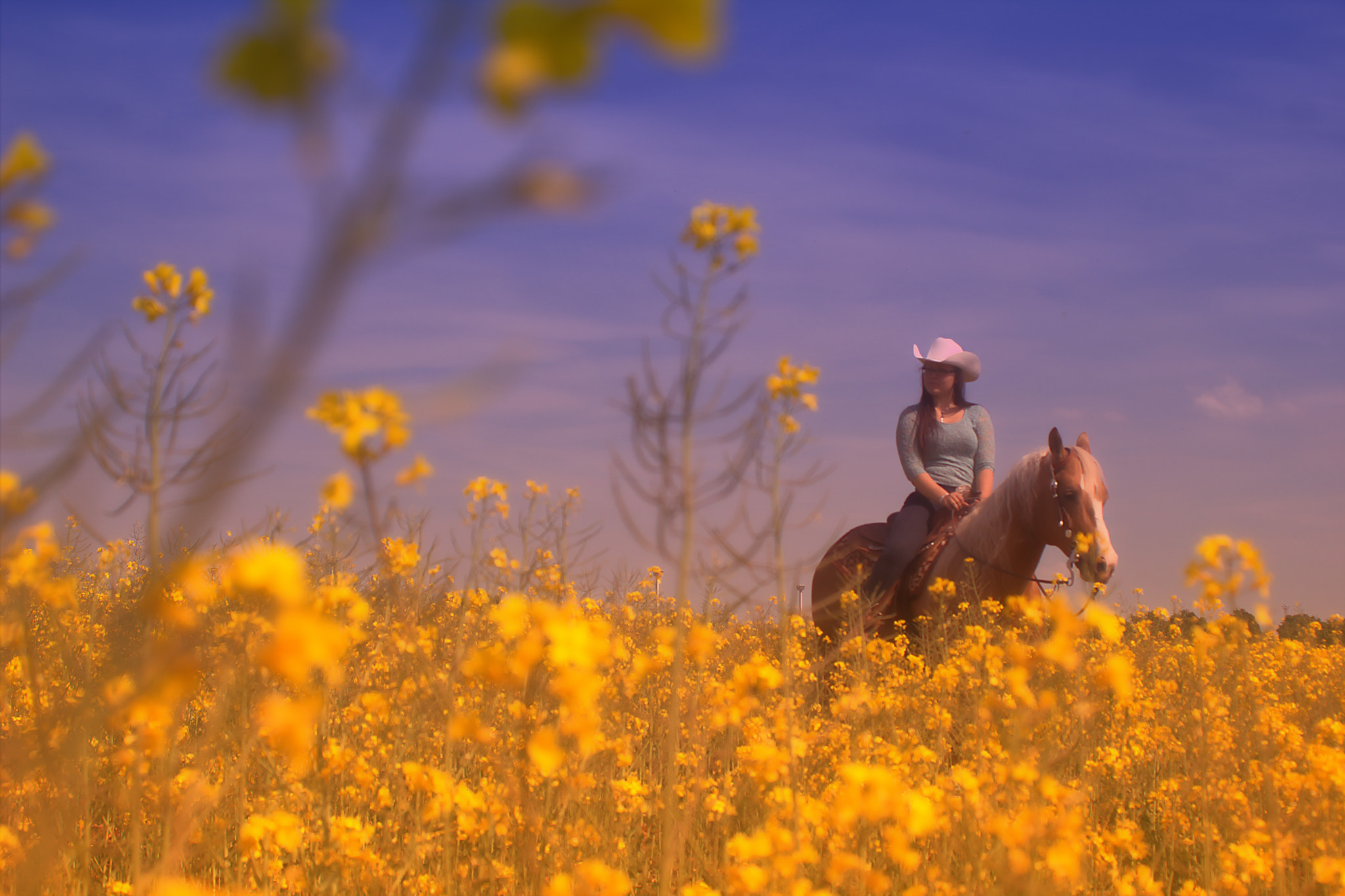 Canon EF 28-80mm f/3.5-5.6 sample photo. Rape land afternoon photography