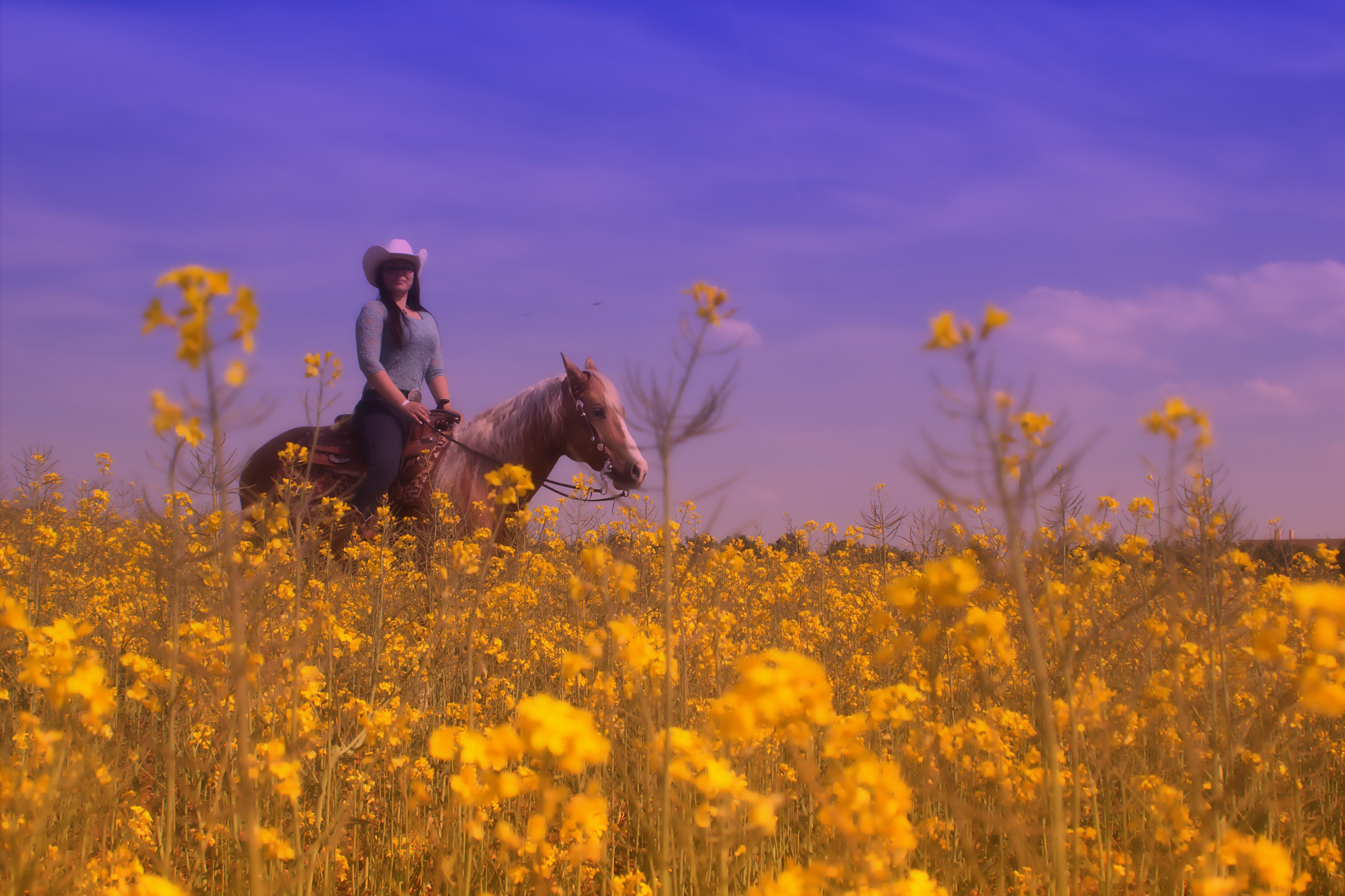 Canon EF 28-80mm f/3.5-5.6 sample photo. Rape land photography