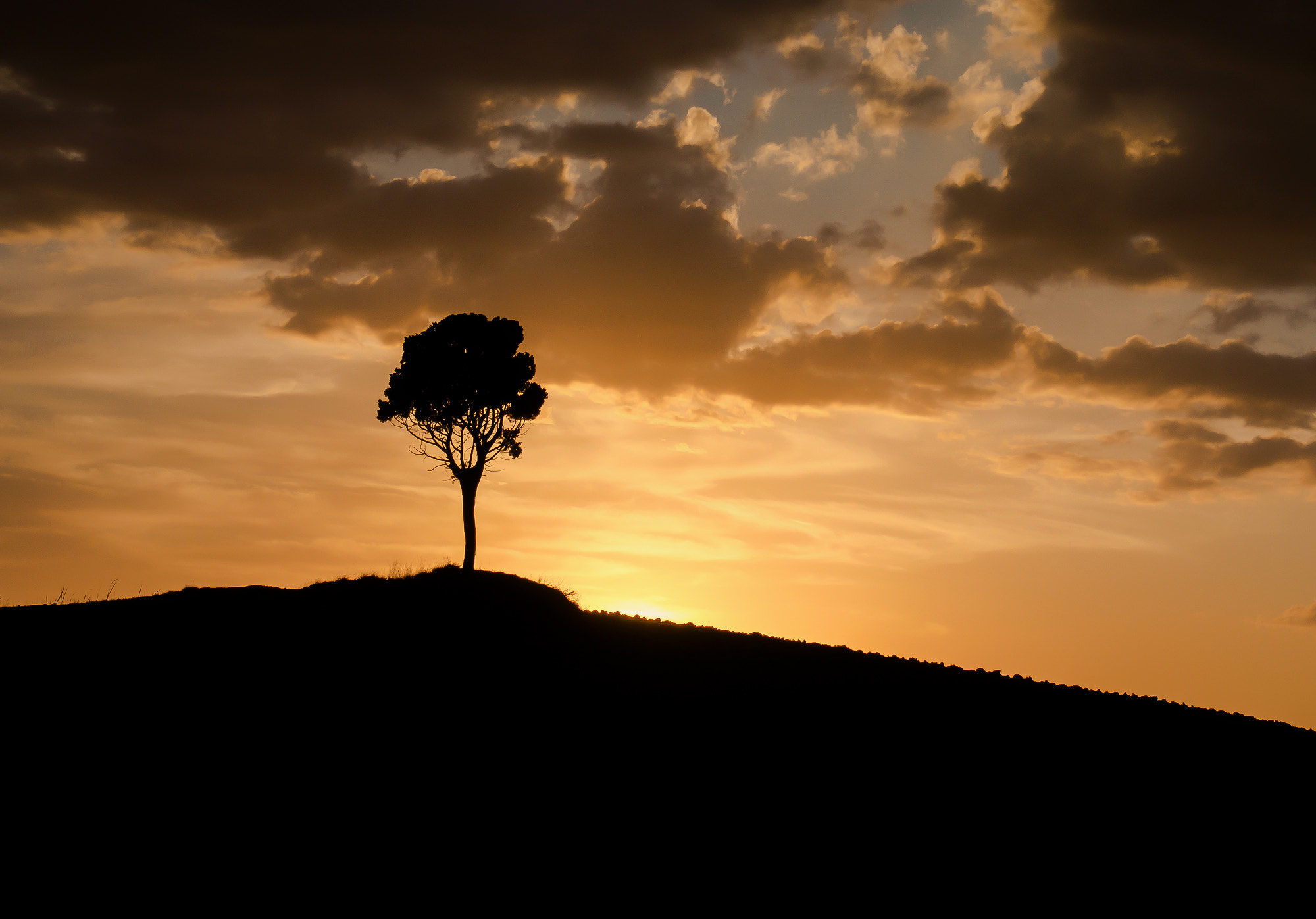 Olympus PEN E-PM2 + Olympus M.Zuiko Digital 14-42mm F3.5-5.6 II R sample photo. Silhouette from tuscany photography