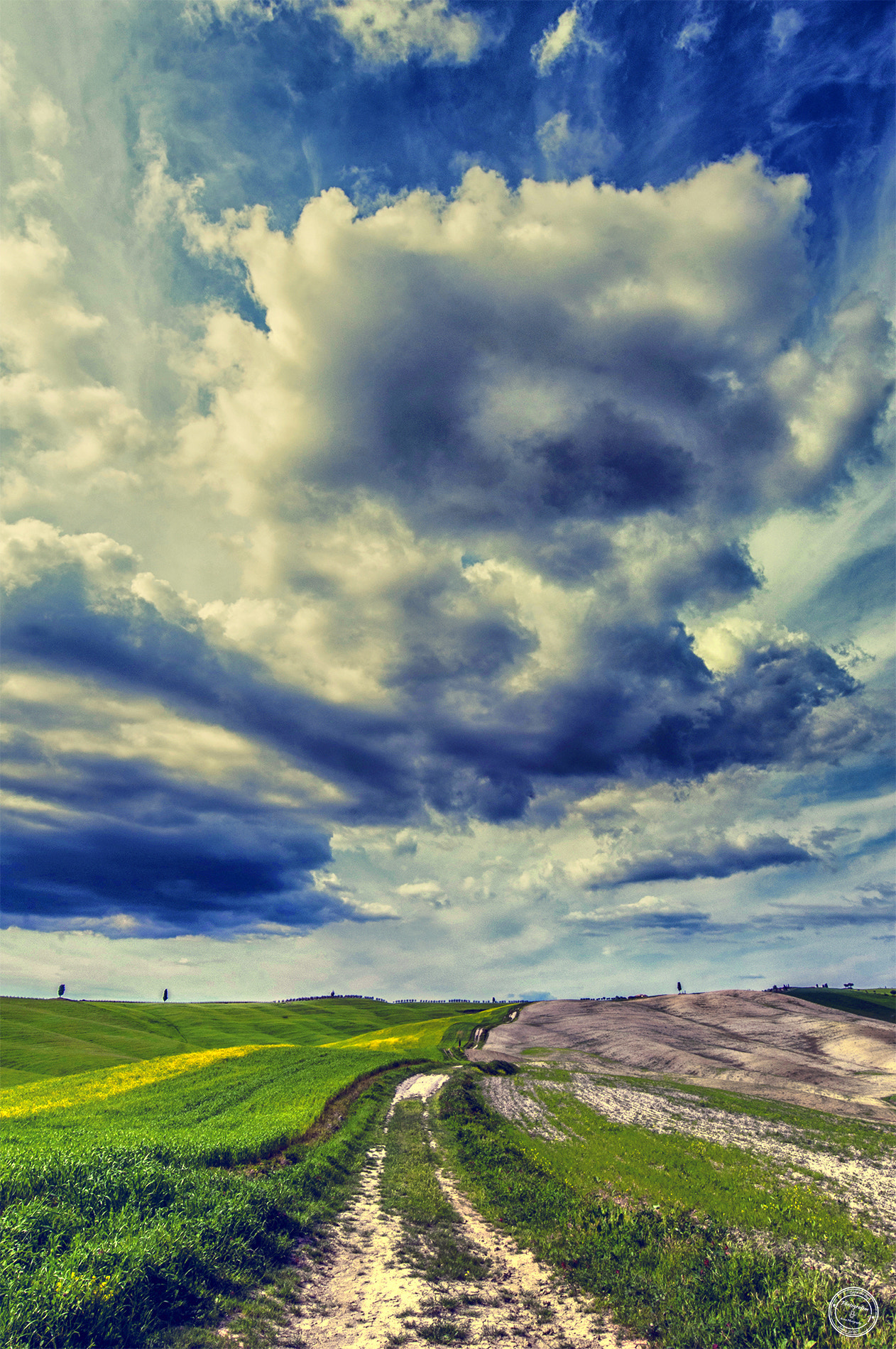 Nikon D300S sample photo. Road of tuscany photography