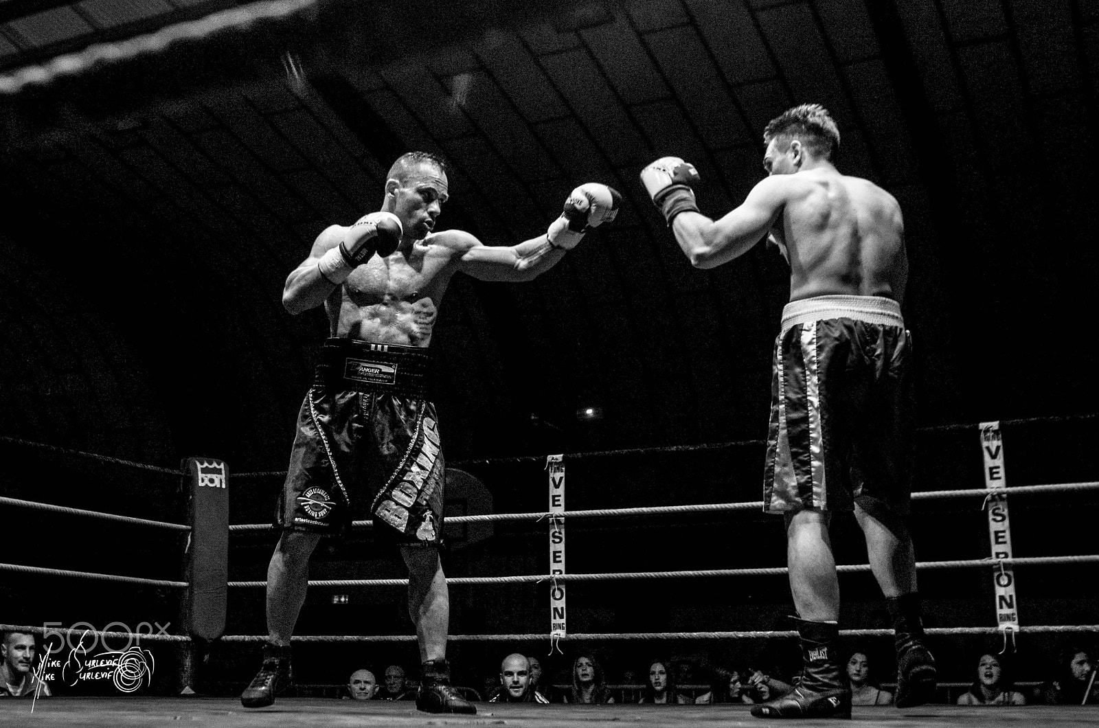 Pentax K-5 II + Sigma sample photo. Boxe willy borrel photography