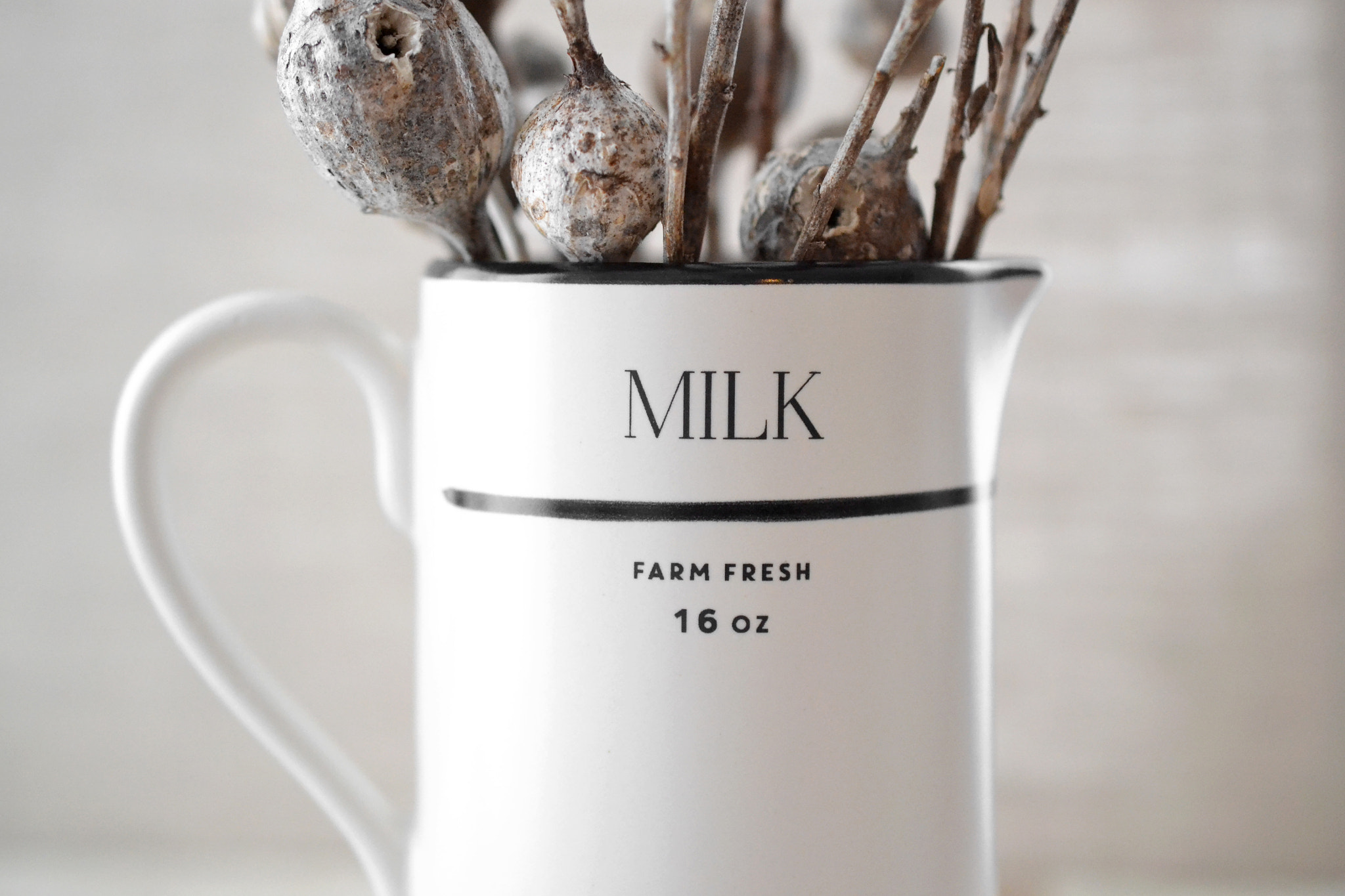 Nikon AF-S Nikkor 500mm F4D ED-IF II sample photo. Dried seed pods in milk jug photography