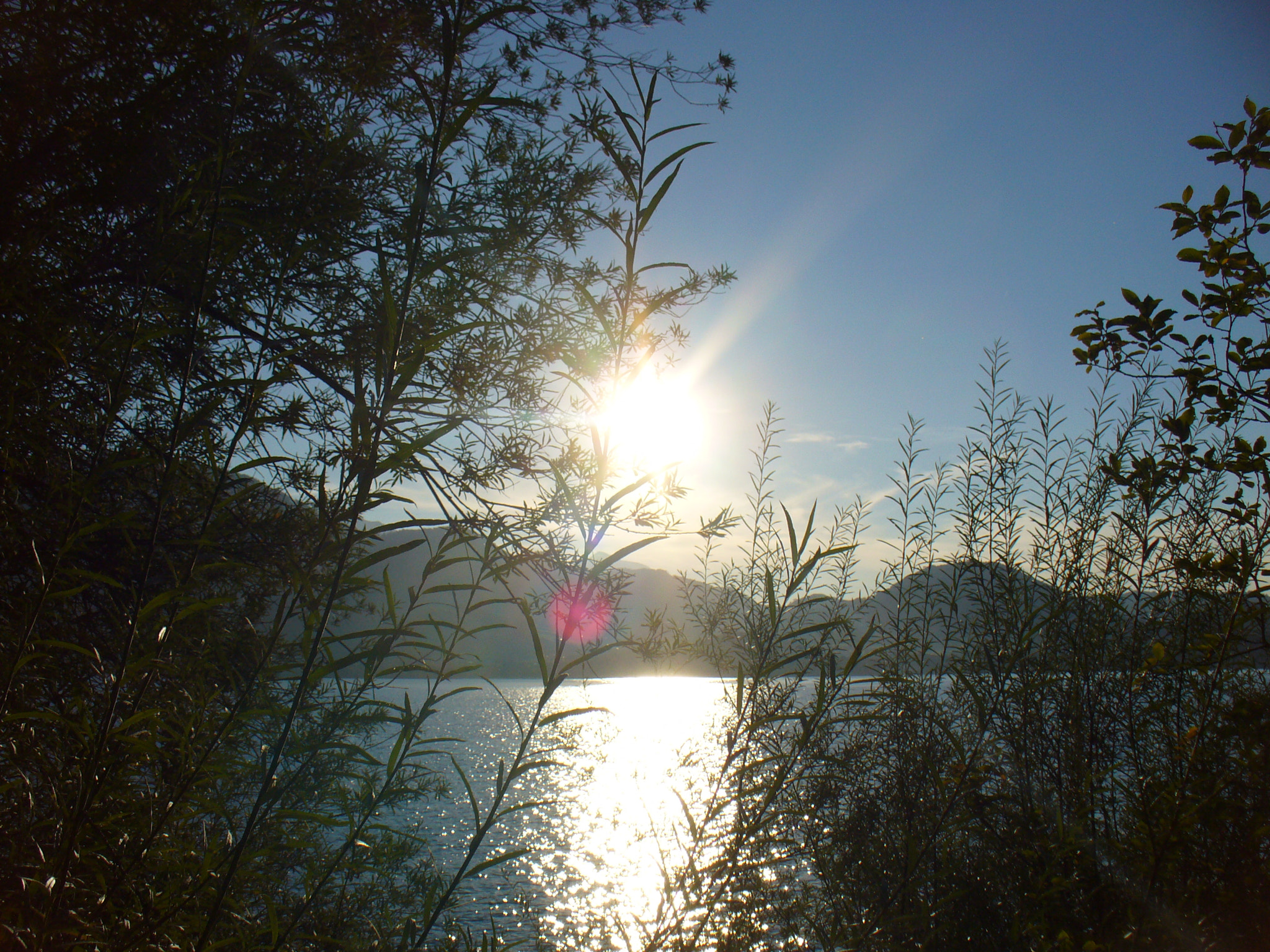 Panasonic DMC-LZ5 sample photo. Sun above lake with trees photography