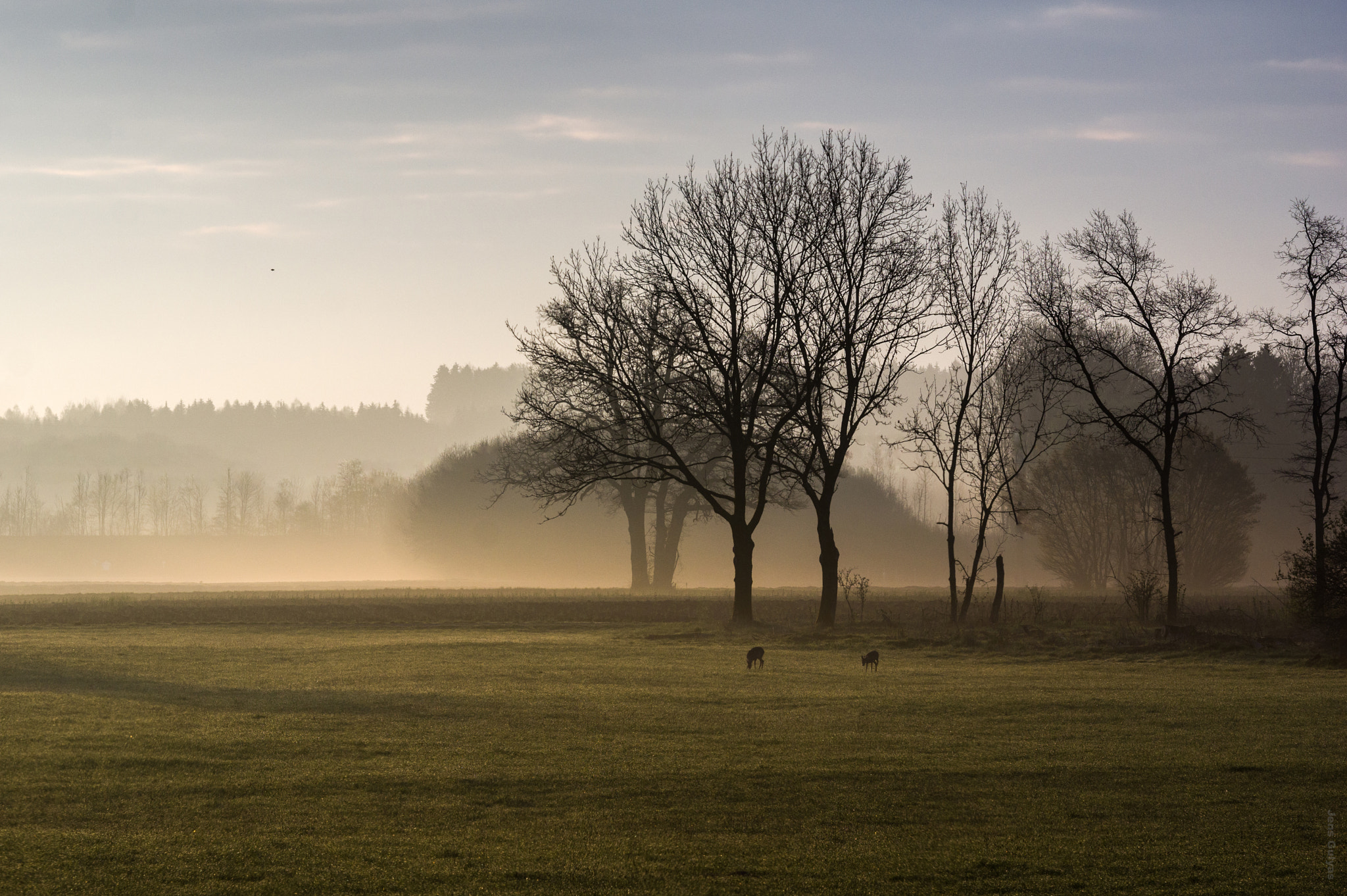 Pentax K-3 II + A Series Lens sample photo. Morning mood photography