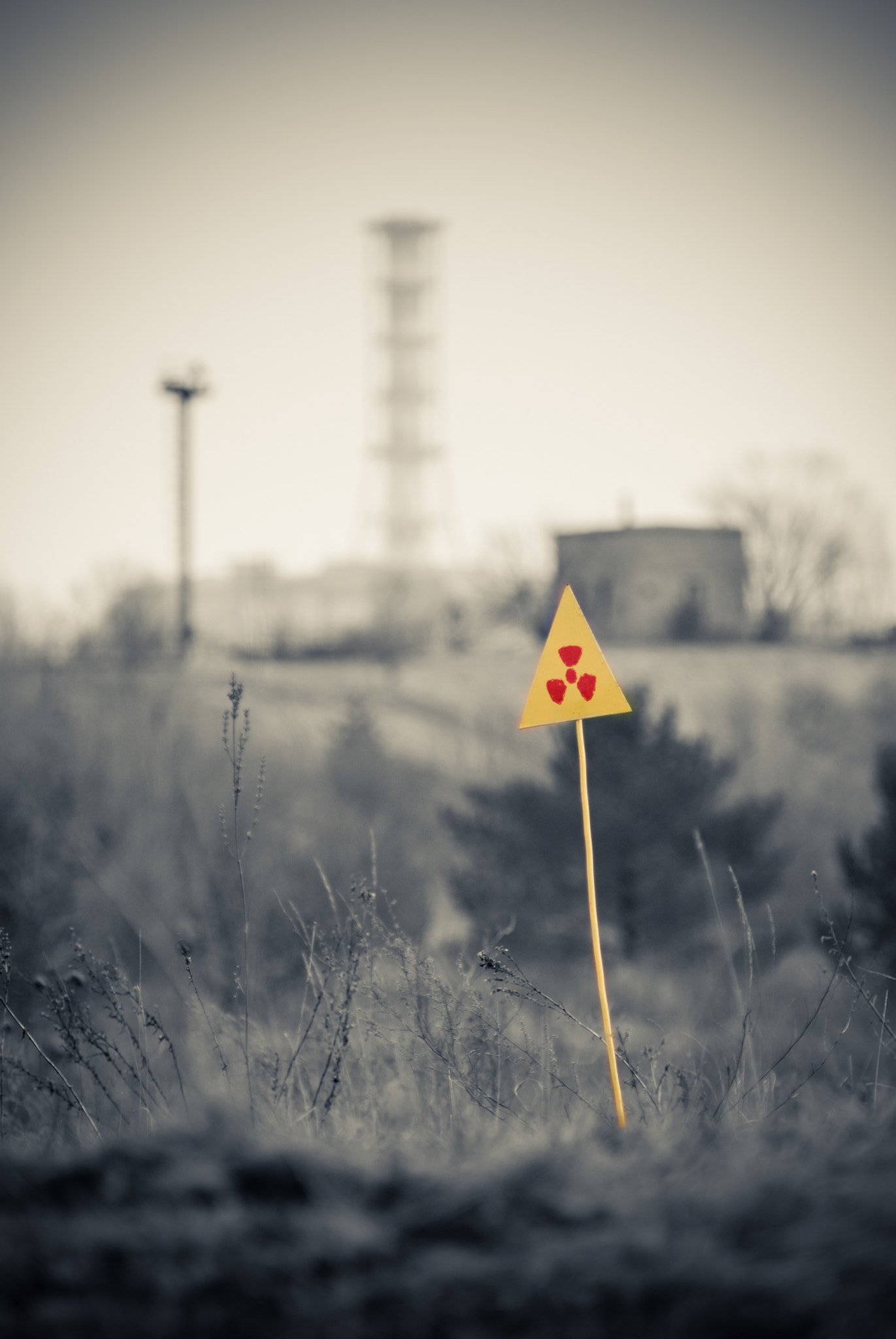 Sony Alpha DSLR-A300 + Minolta AF 70-210mm F4 Macro sample photo. Chernobyl accident - 30 years photography