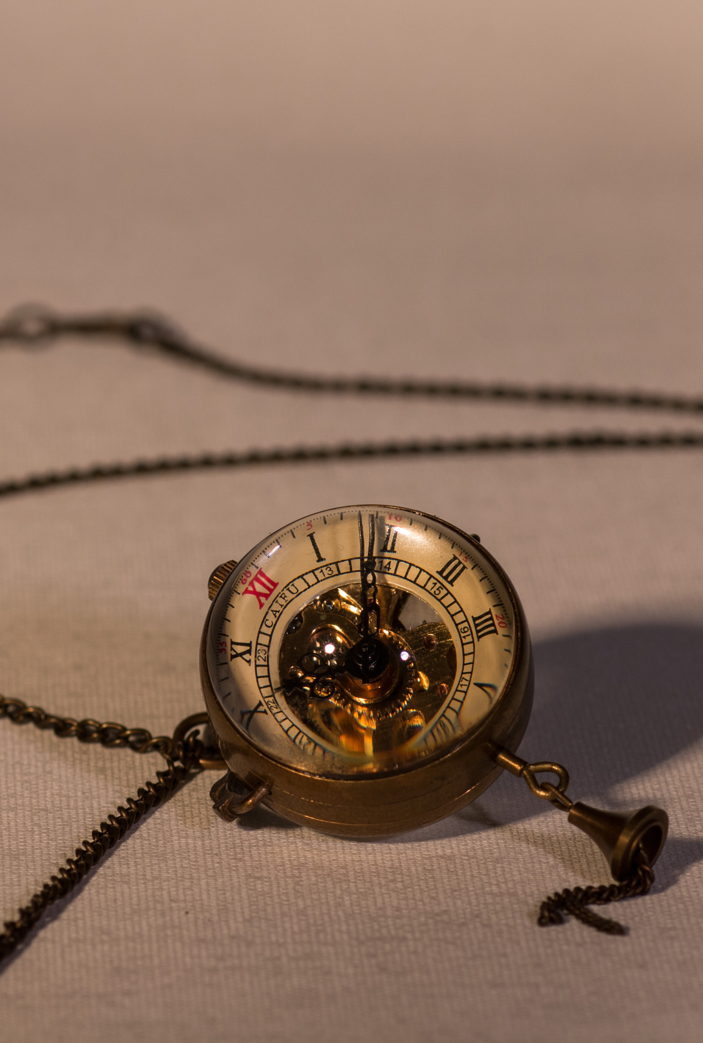 Canon EF 100mm F2.8 Macro USM sample photo. It´s time photography