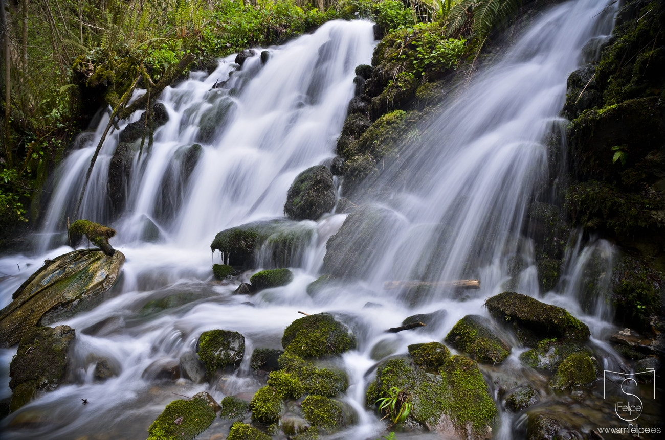 Nikon D7000 + Sigma 17-70mm F2.8-4 DC Macro OS HSM | C sample photo. Xomezana photography