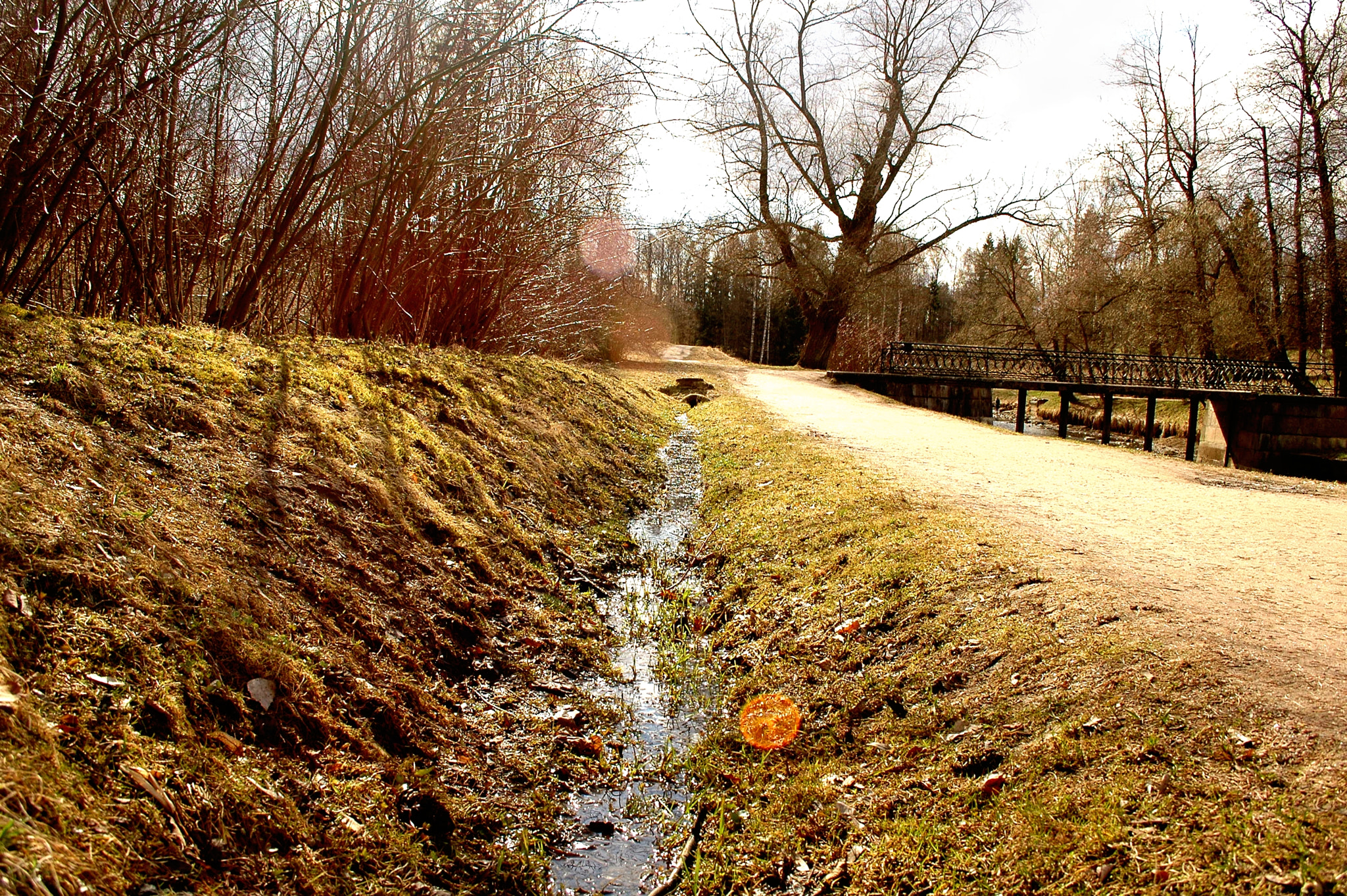 Nikon D70s sample photo. Pavlovsk 2016 photography
