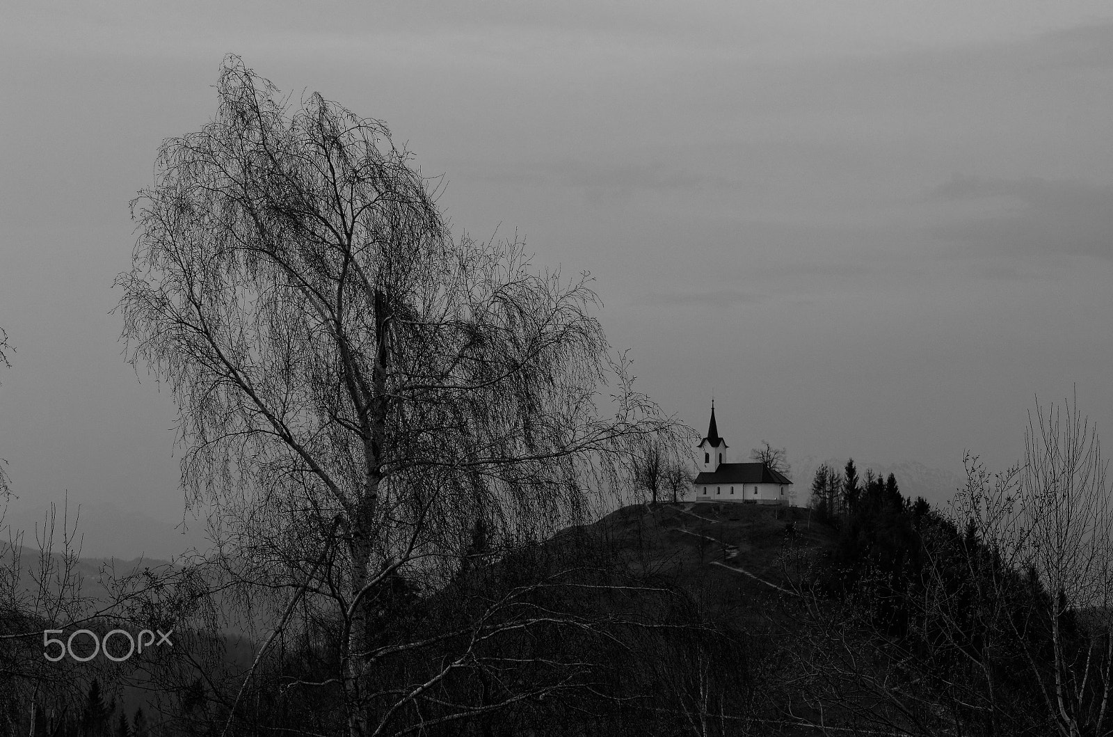 Tamron AF 70-300mm F4-5.6 Di LD Macro sample photo. Sv jakob b&w photography