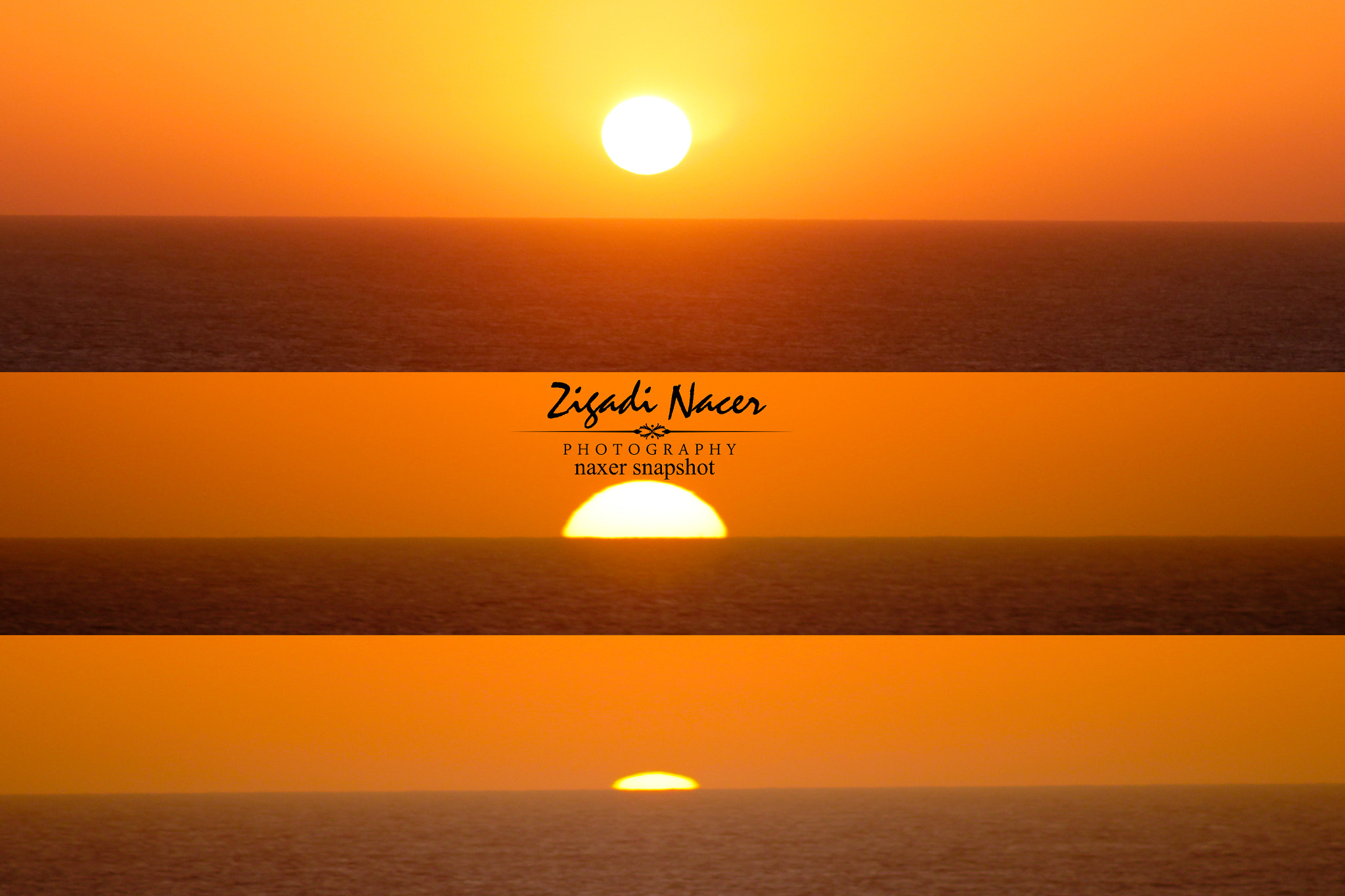 Canon EF 90-300mm F4.5-5.6 sample photo. Copie photography