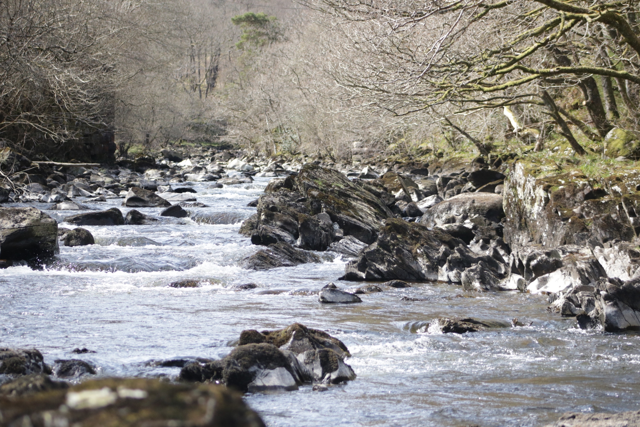 Canon EOS 760D (EOS Rebel T6s / EOS 8000D) + EF75-300mm f/4-5.6 sample photo. River photography