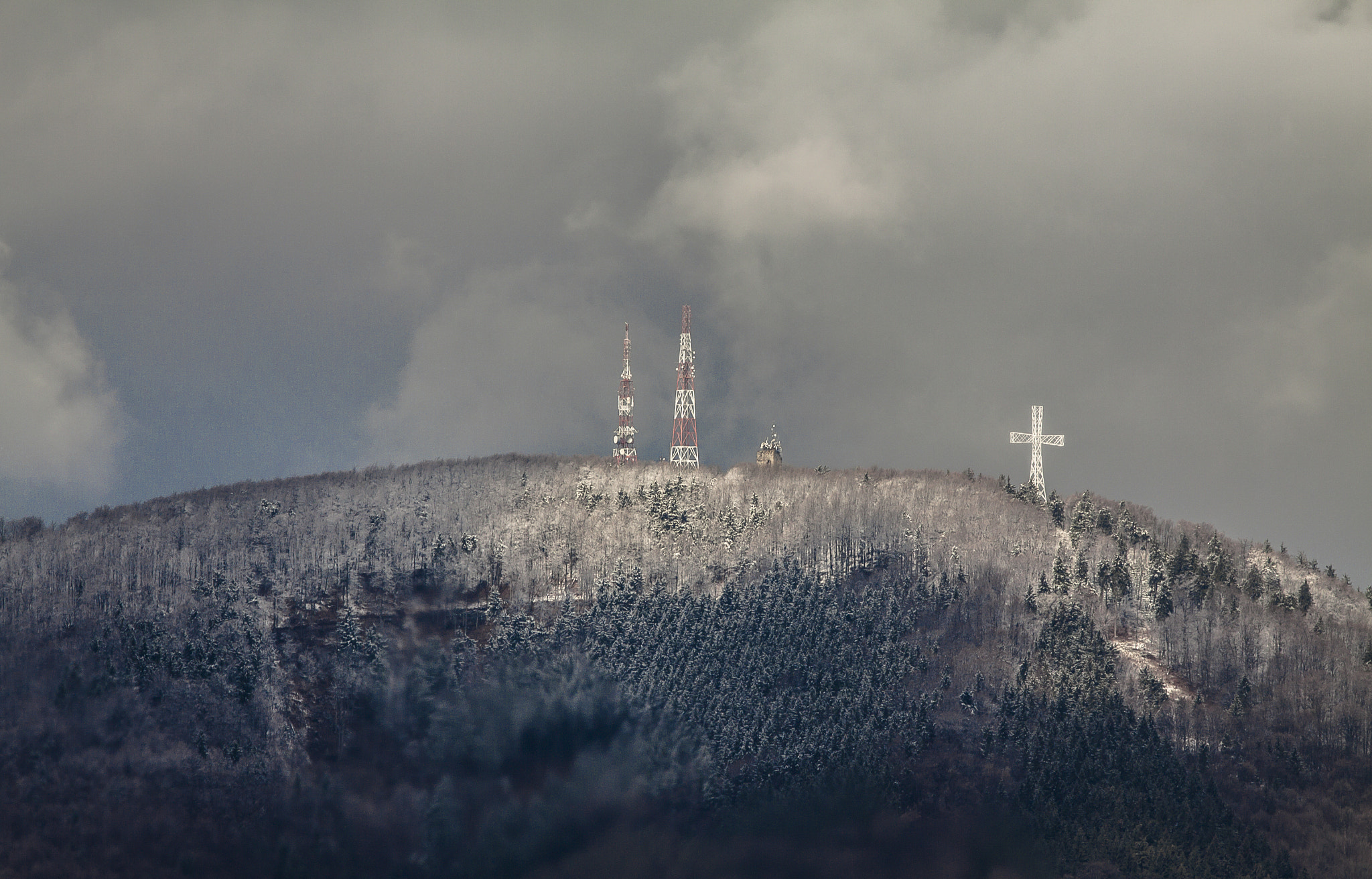 Canon EOS 50D + Canon EF 300mm F4L IS USM sample photo. Frozen photography