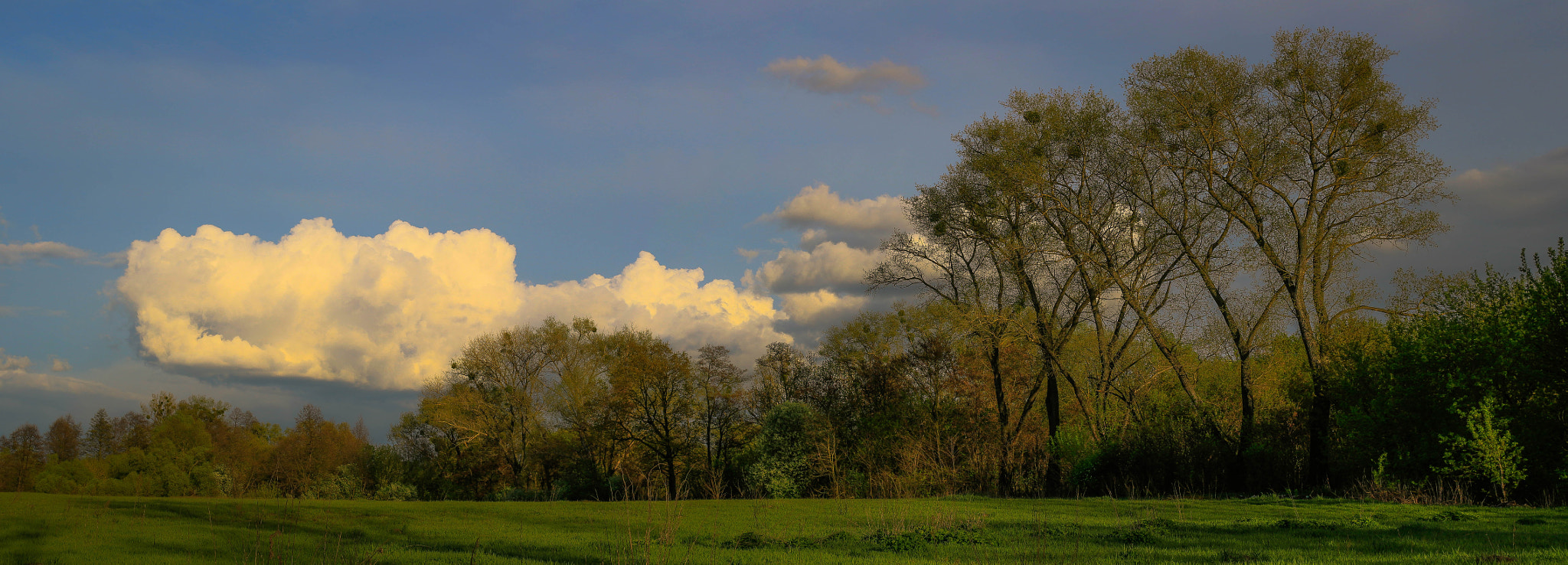 Canon EF 40mm F2.8 STM sample photo. Хмари вечірні photography