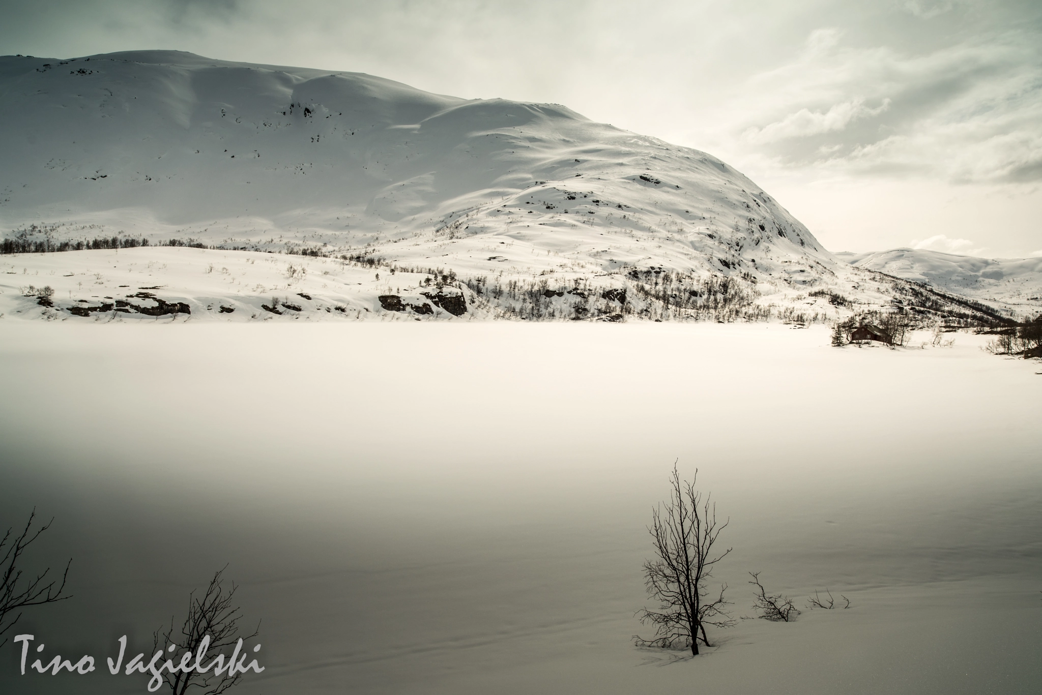 Nikon D800 + ZEISS Distagon T* 21mm F2.8 sample photo. Norway 2.0 (6) photography